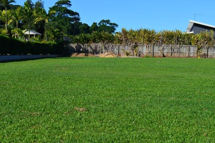 10 Nautilus Street, Mission Beach QLD 4852, Mission Beach - Image 1