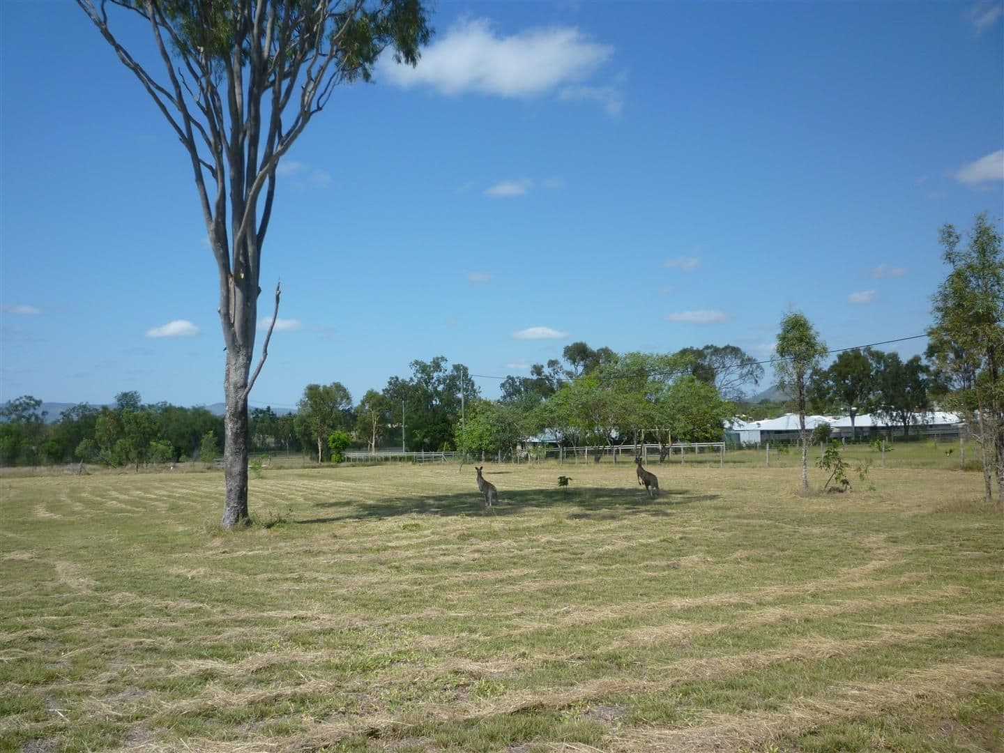 126 Lucas Street, Gracemere QLD 4702, Gracemere - Image 1