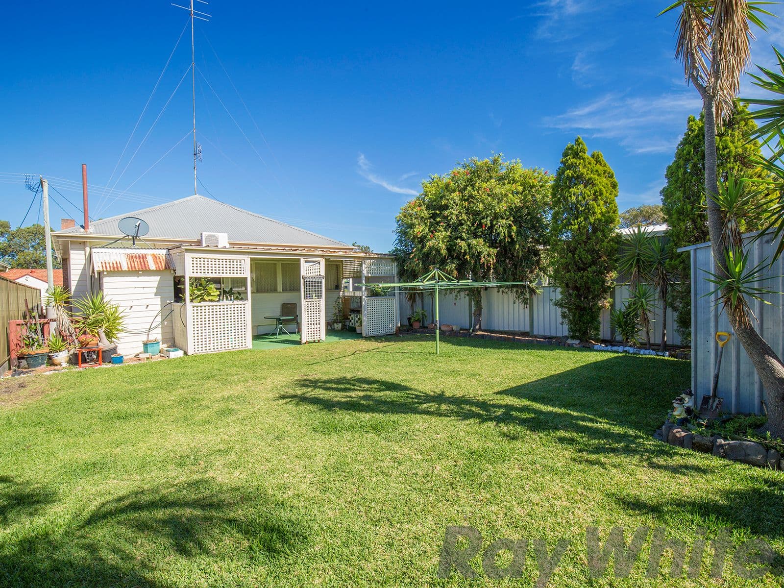 41 Patrick Street, Belmont North - Thumbnail 6