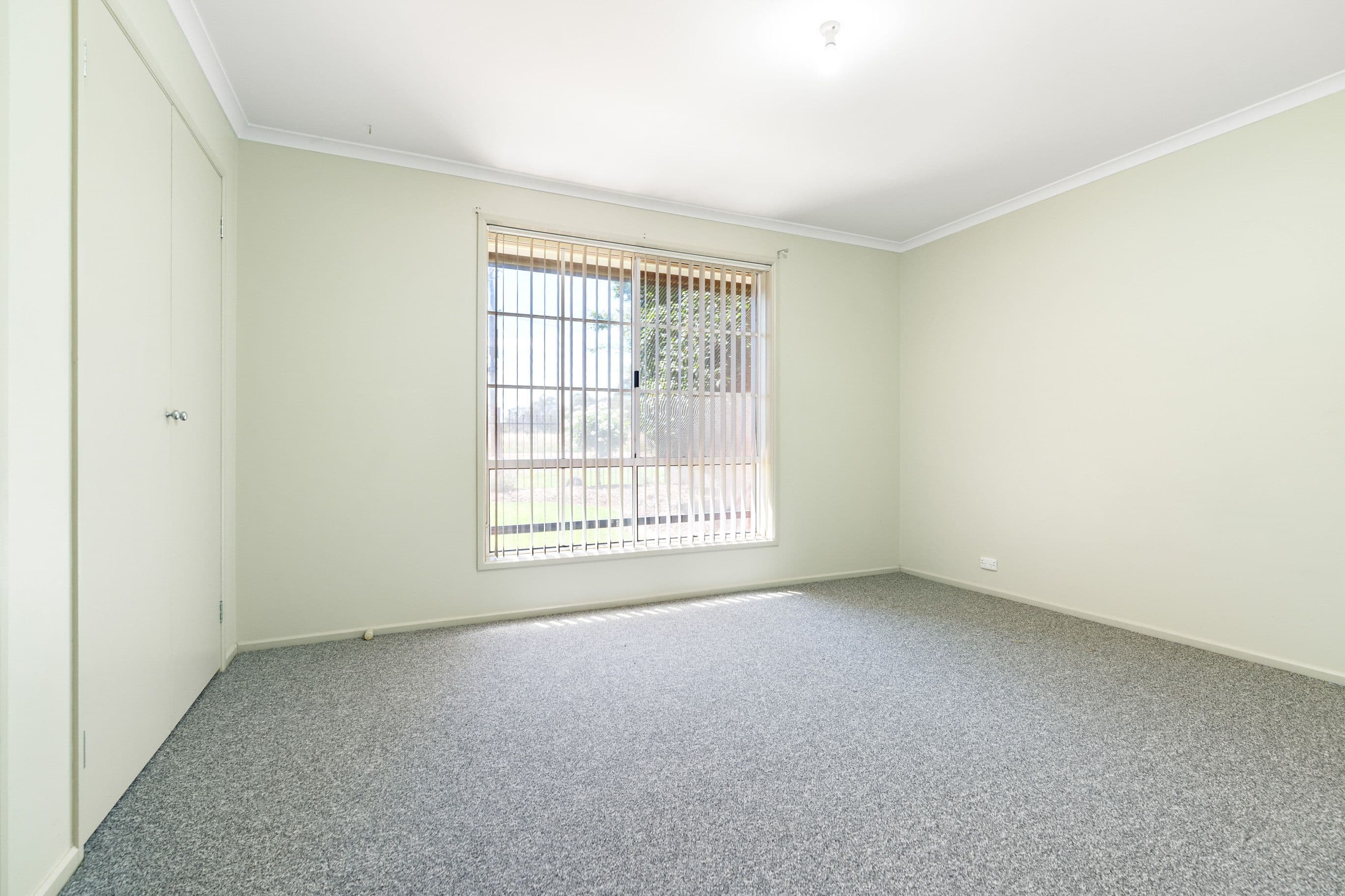 121 Commercial Street, Walla Walla NSW 2659, Walla Walla - Thumbnail 3