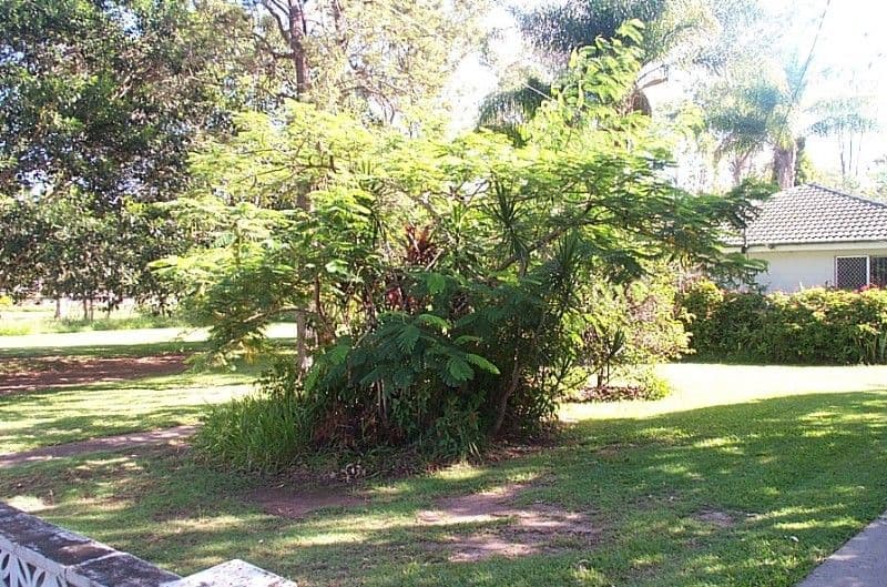 285 King Avenue, DURACK QLD 4077, Durack - Thumbnail 3