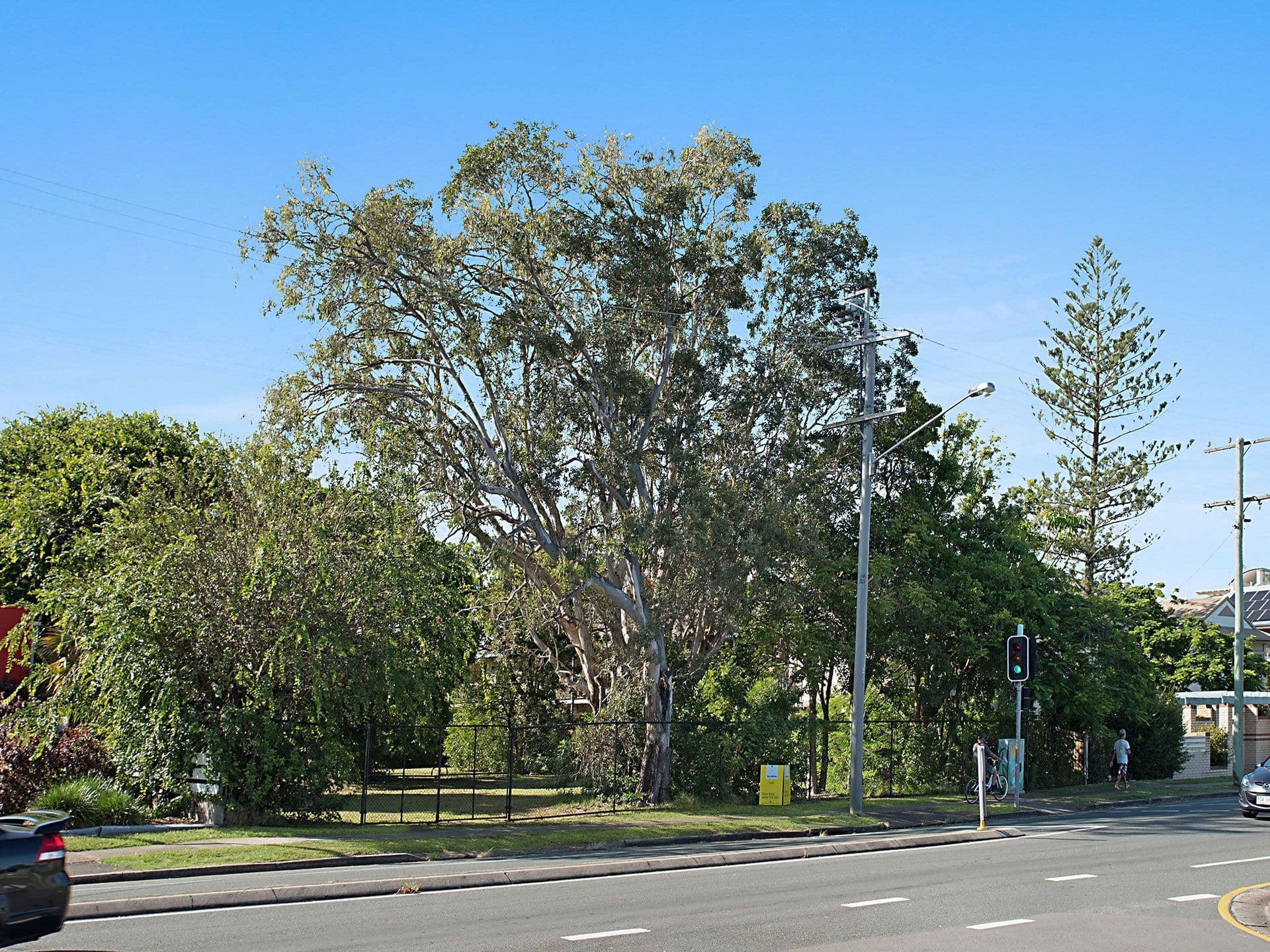 65 Brisbane Road, Mooloolaba QLD 4557, Mooloolaba - Thumbnail 5