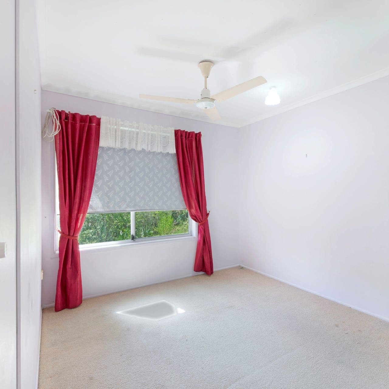 11 Tara Street, Innes Park QLD 4670, Innes Park - Thumbnail 6