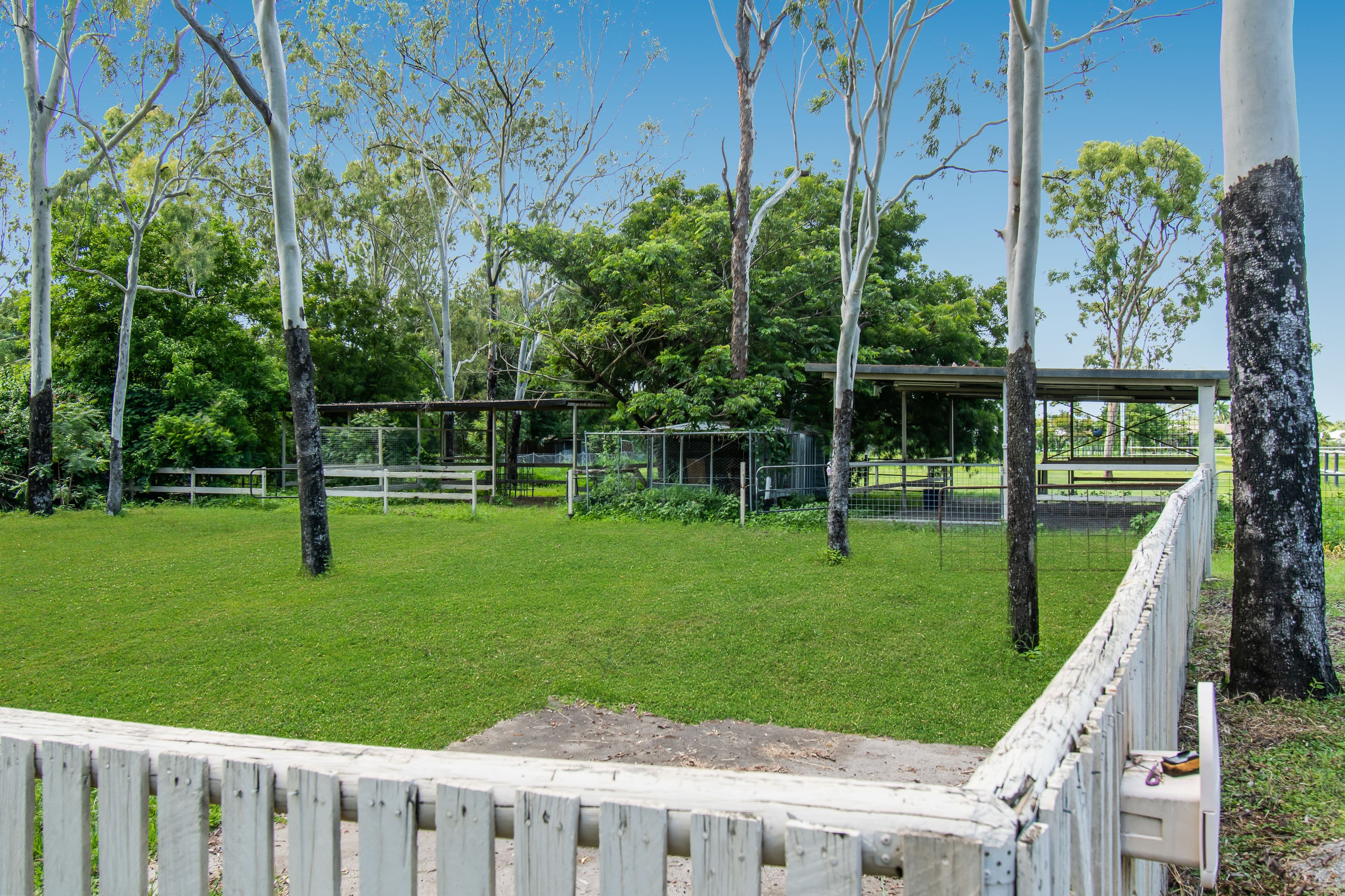 31 Hammond Way, Kelso QLD 4815, Kelso - Thumbnail 4
