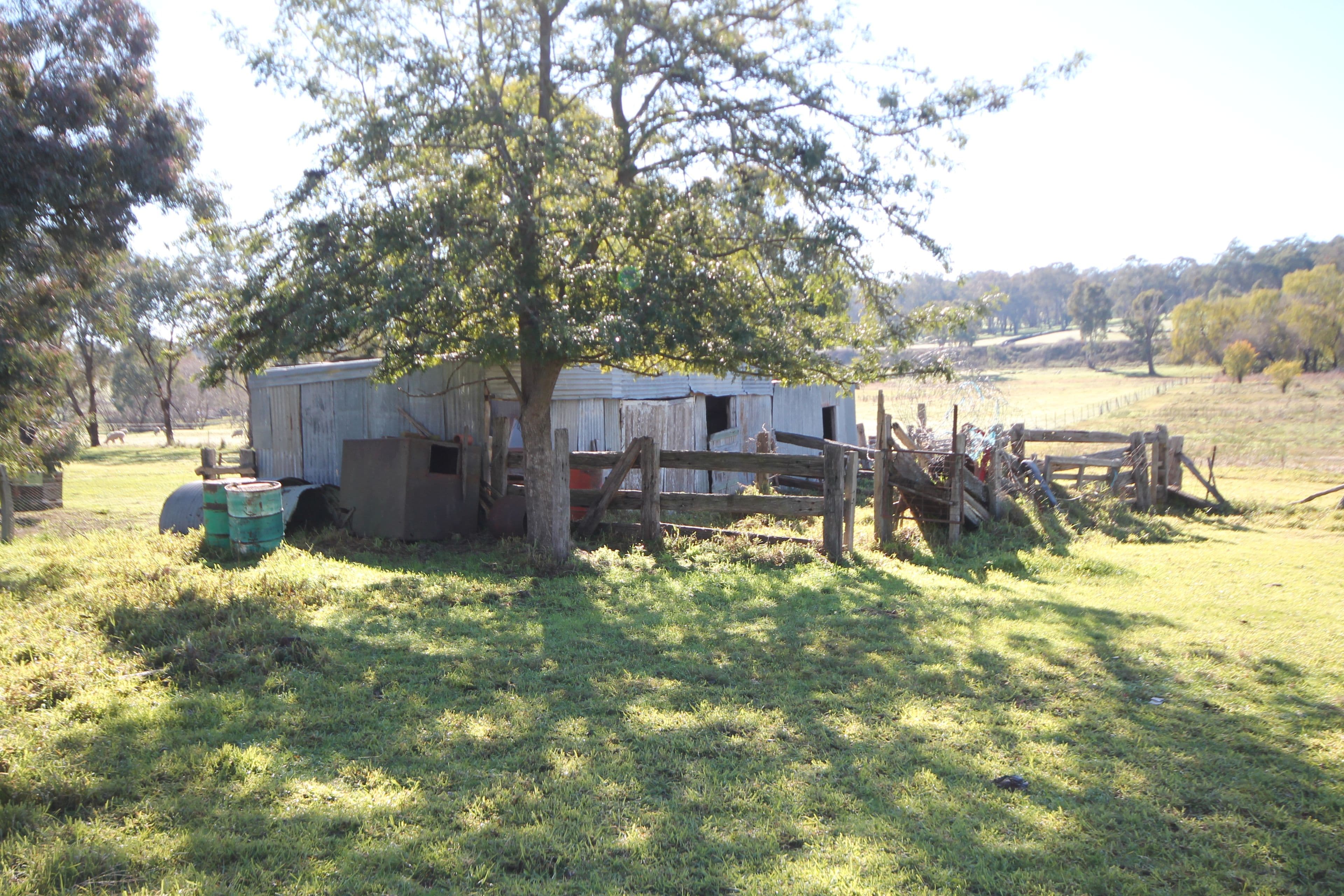 1360 Kingsvale Road, Young - Thumbnail 3