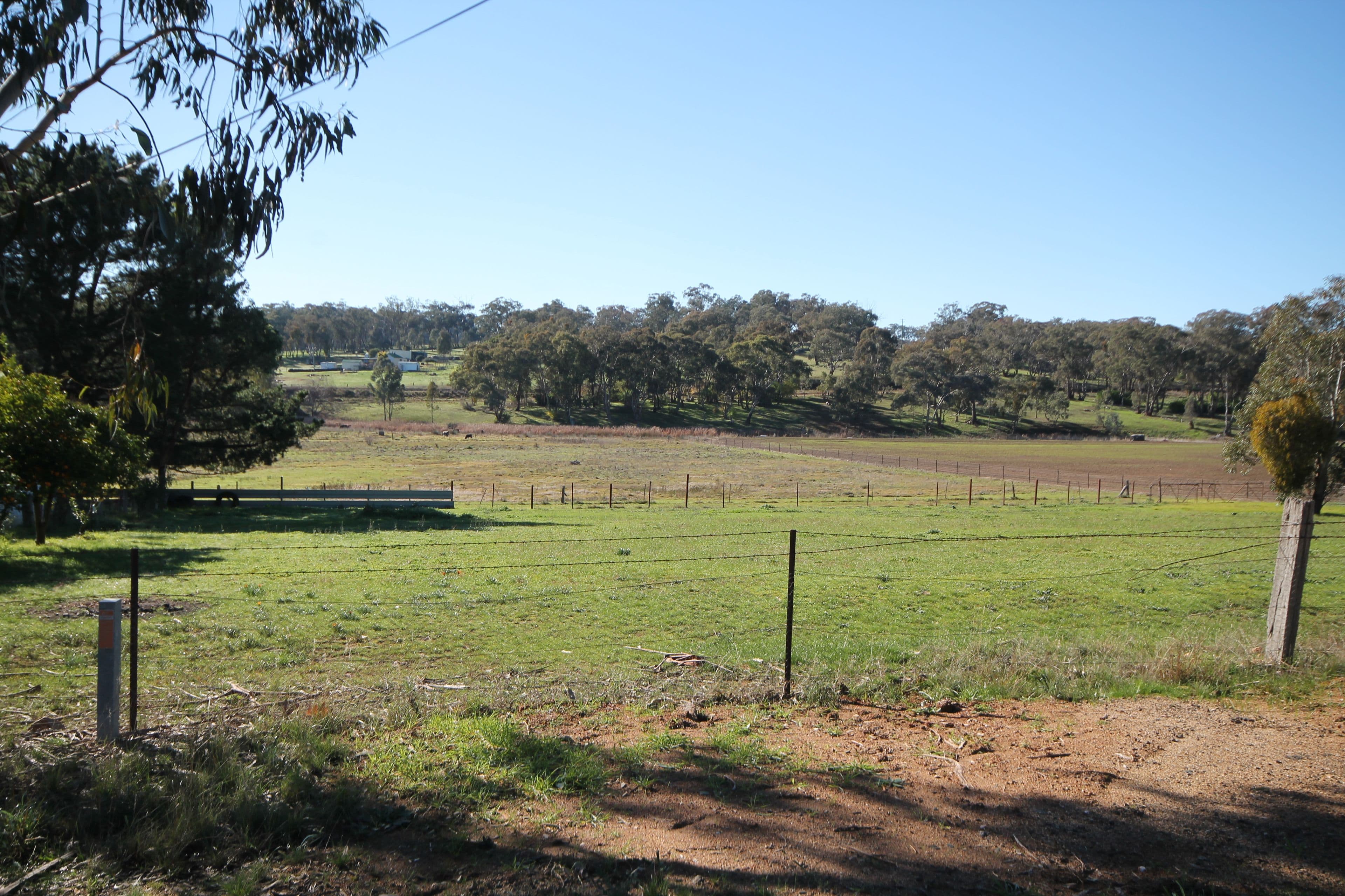 1360 Kingsvale Road, Young - Thumbnail 4