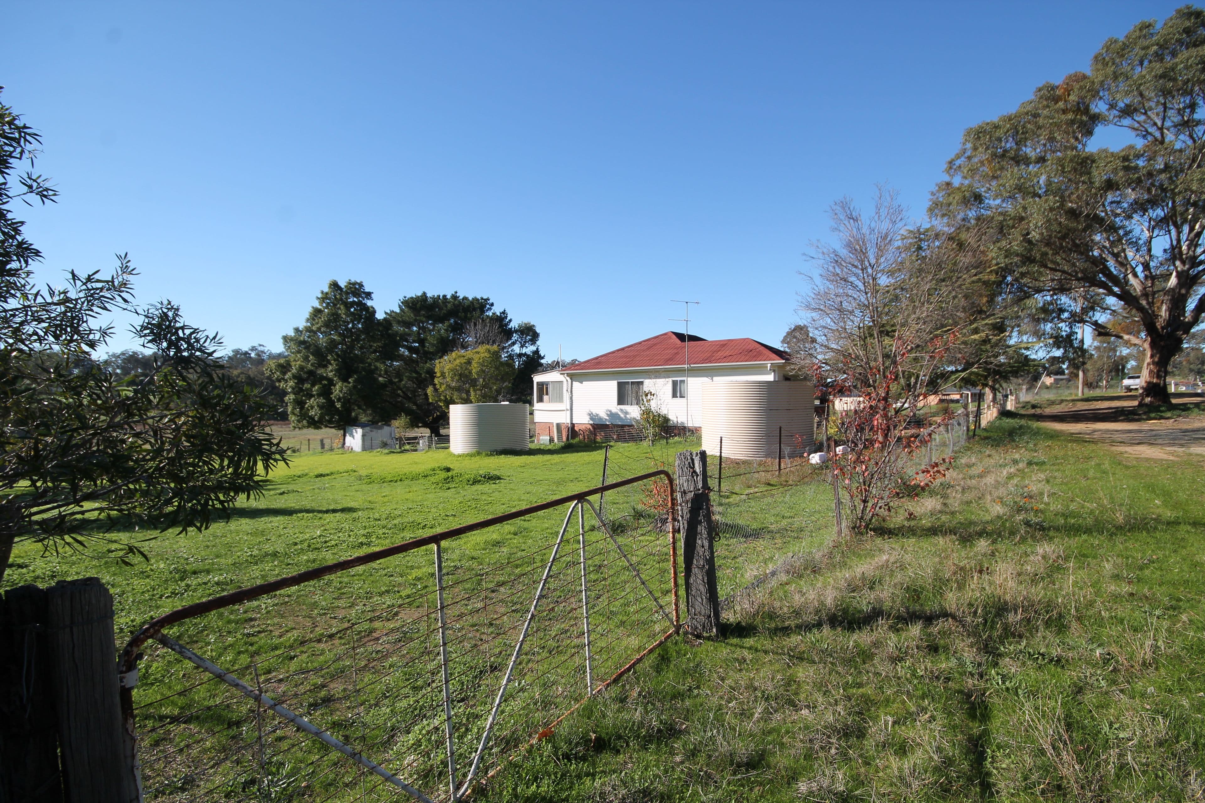 1360 Kingsvale Road, Young - Thumbnail 5