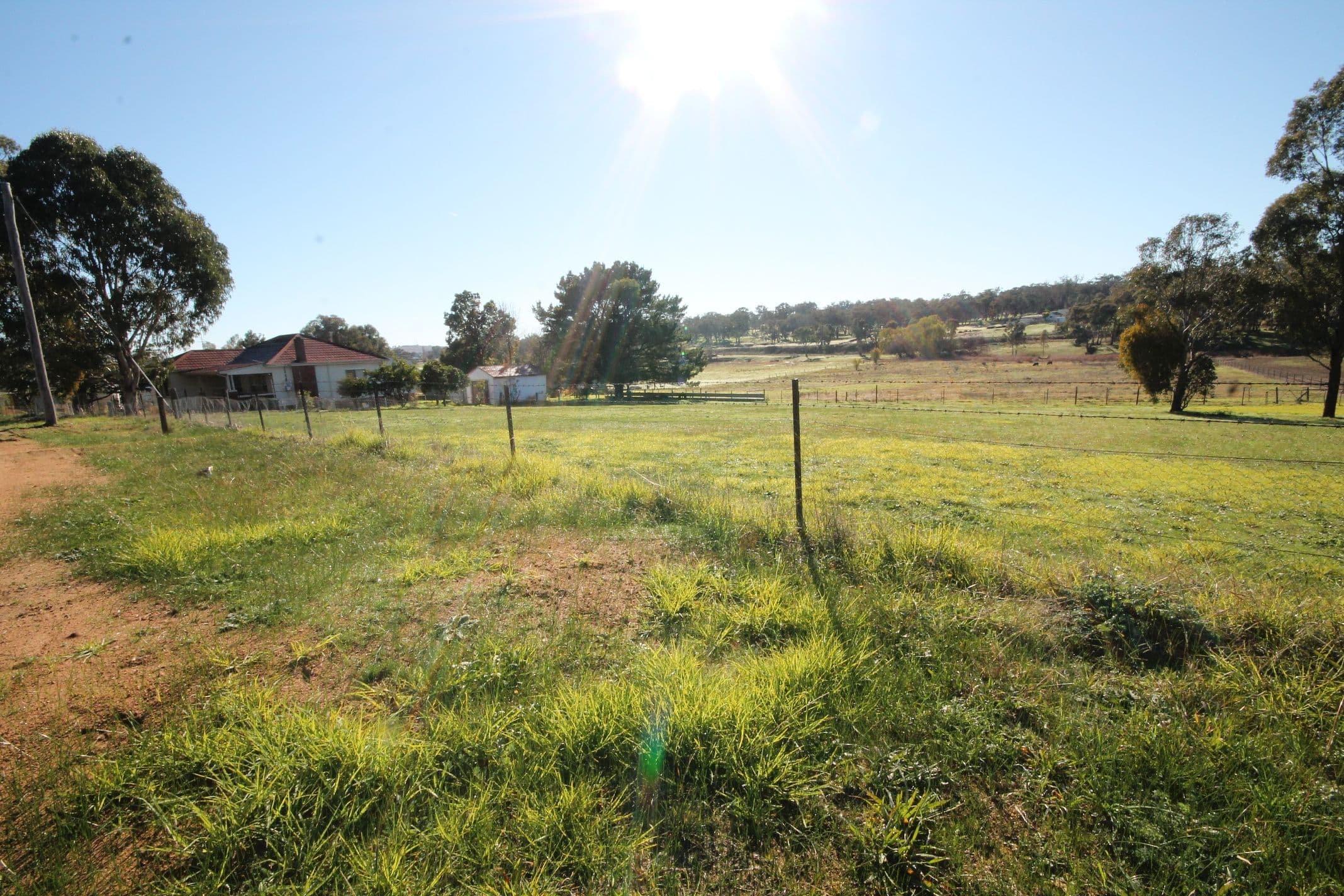 1360 Kingsvale Road, Young - Thumbnail 6