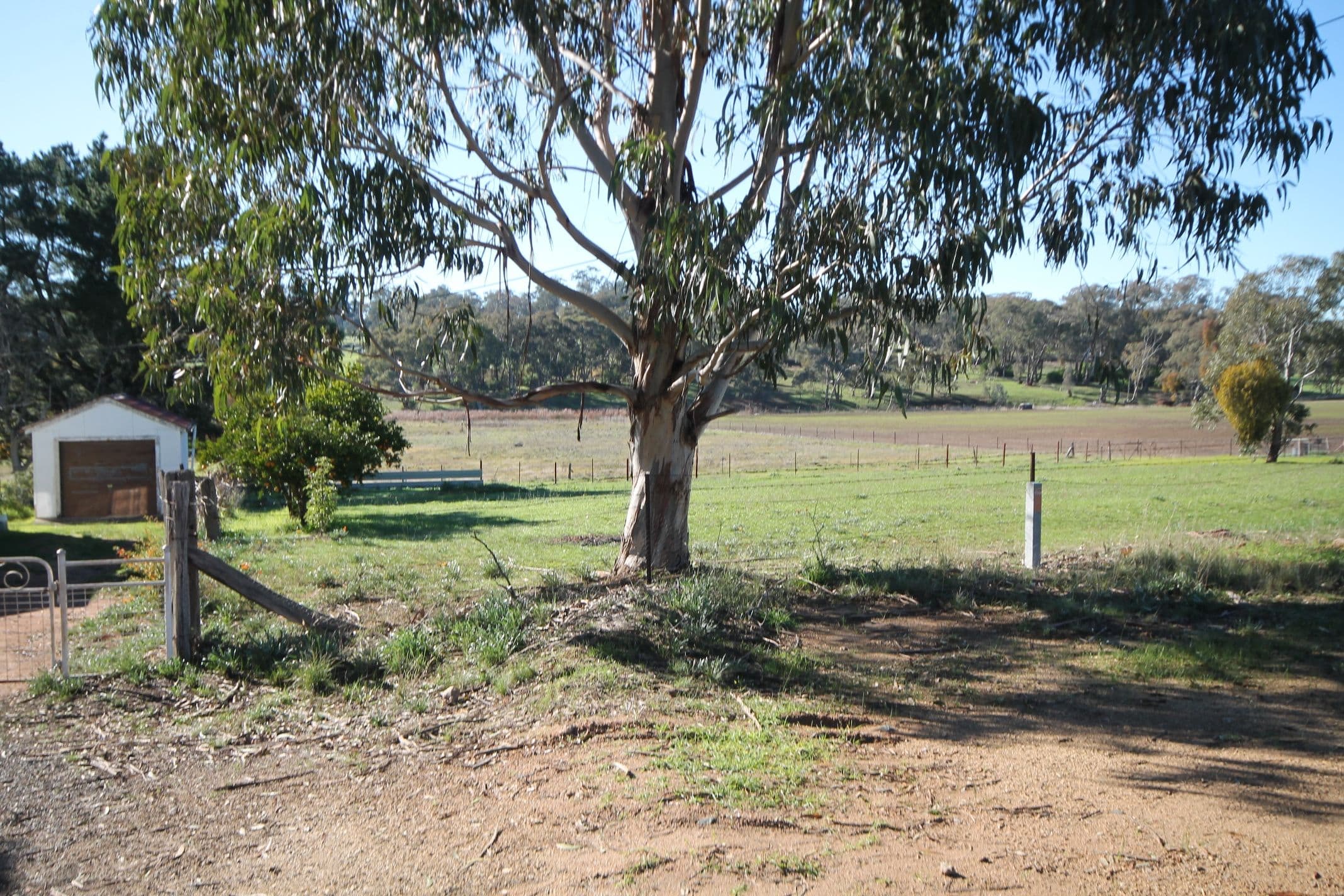 1360 Kingsvale Road, Young - Thumbnail 8
