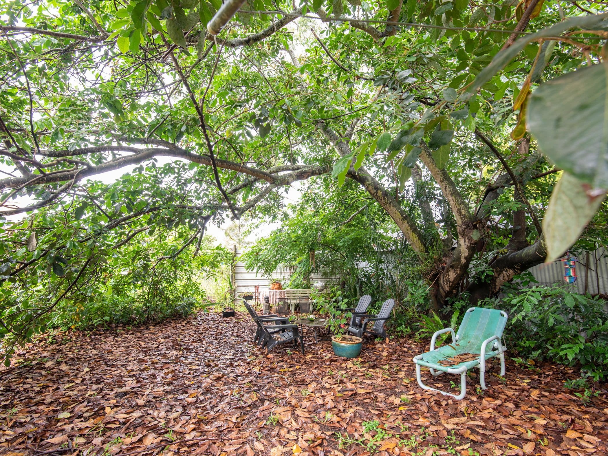 6 Elliott Road, South Lismore NSW 2480, South Lismore - Thumbnail 5