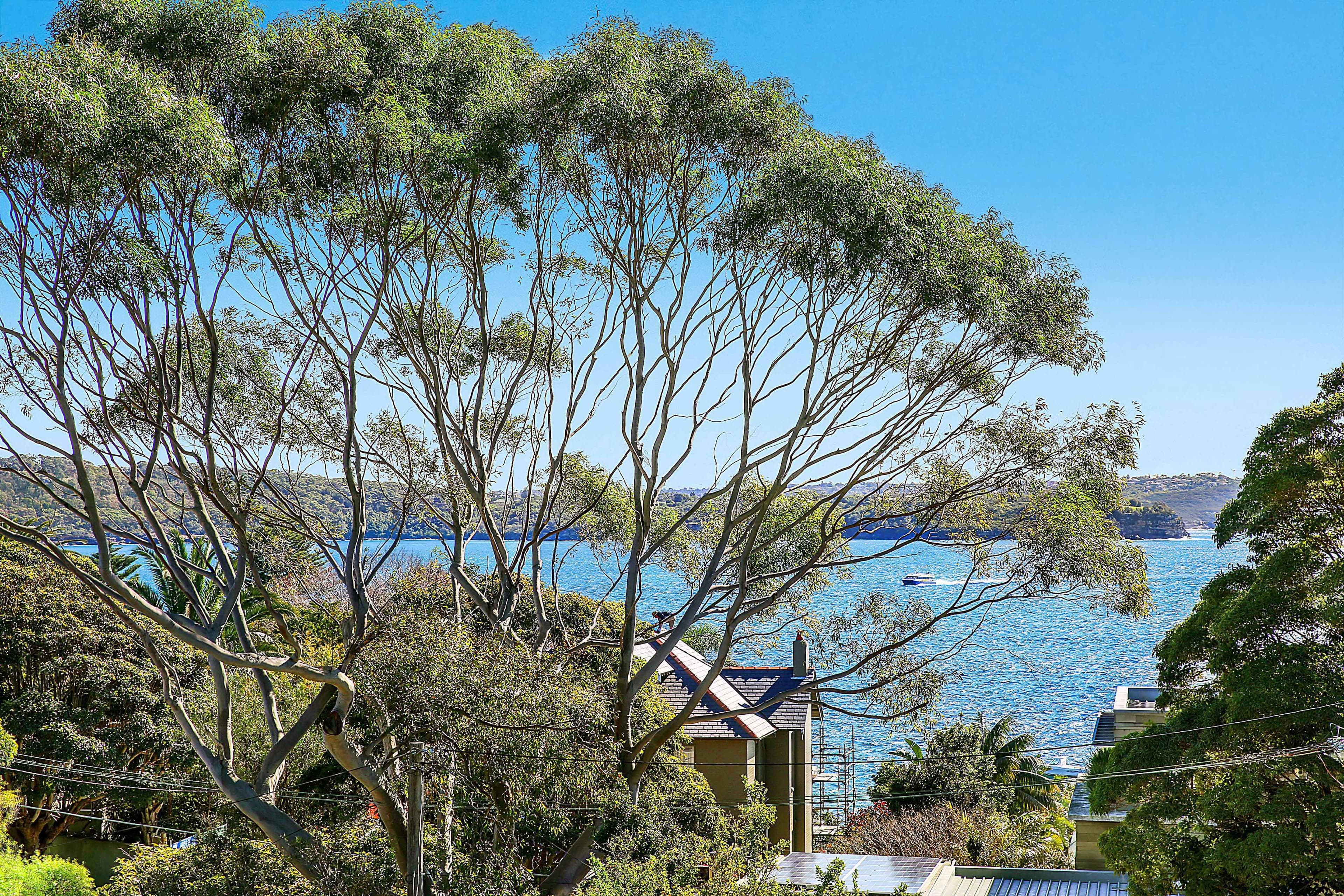 152 Hopetoun Avenue, Vaucluse - Thumbnail 4