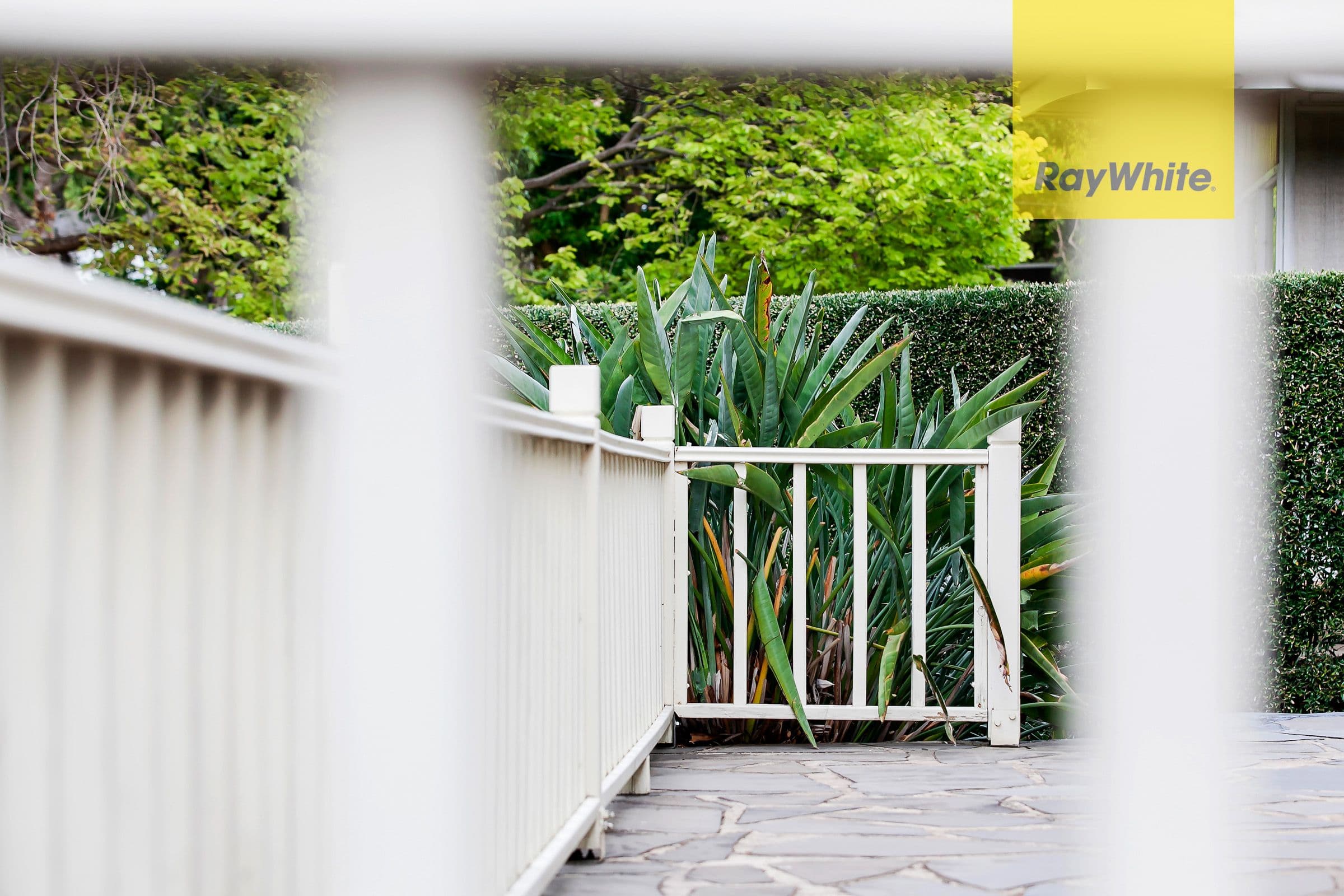16 Norwich Avenue, Burnside SA 5066, Burnside - Thumbnail 6