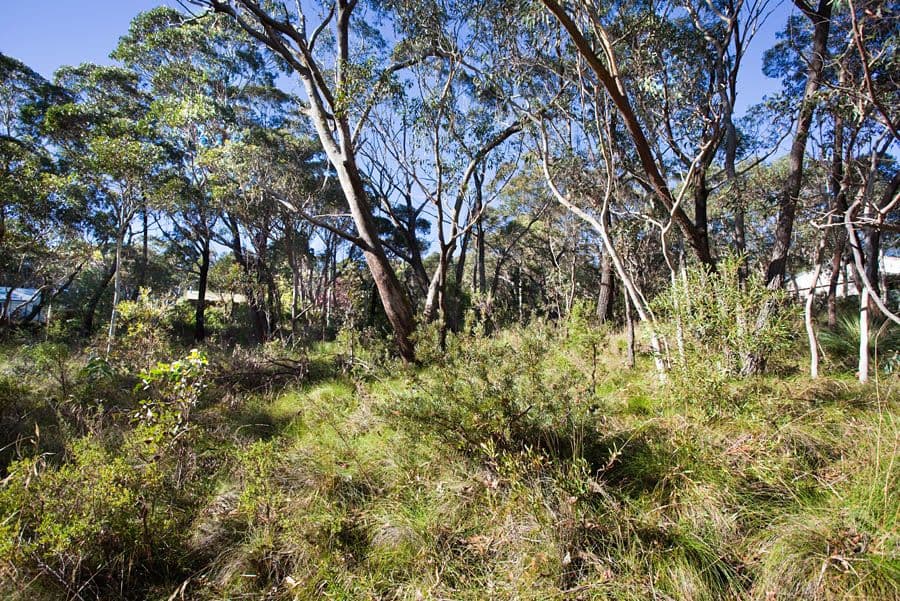 62 Godson Avenue, BLACKHEATH NSW 2785, Blackheath - Image 1