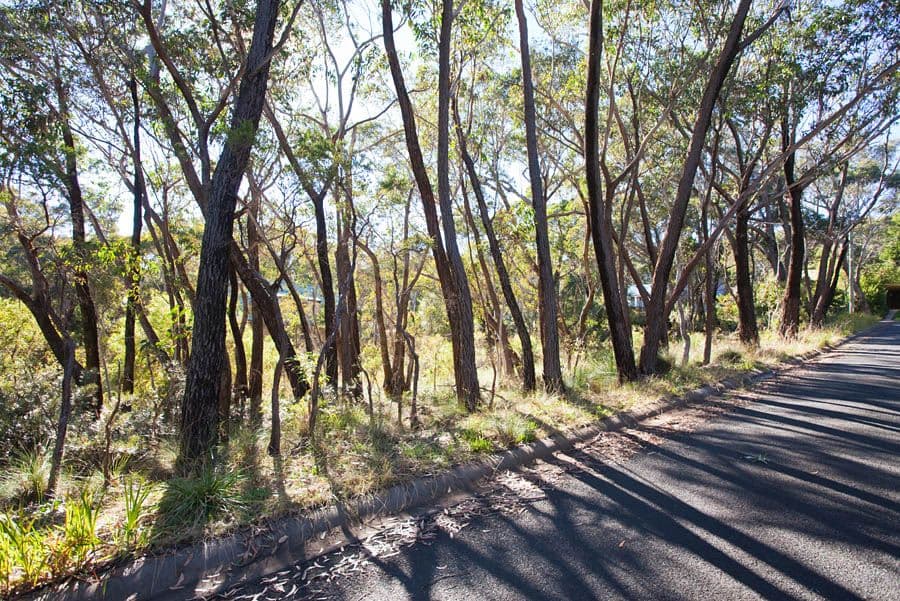 62 Godson Avenue, BLACKHEATH NSW 2785, Blackheath - Thumbnail 2