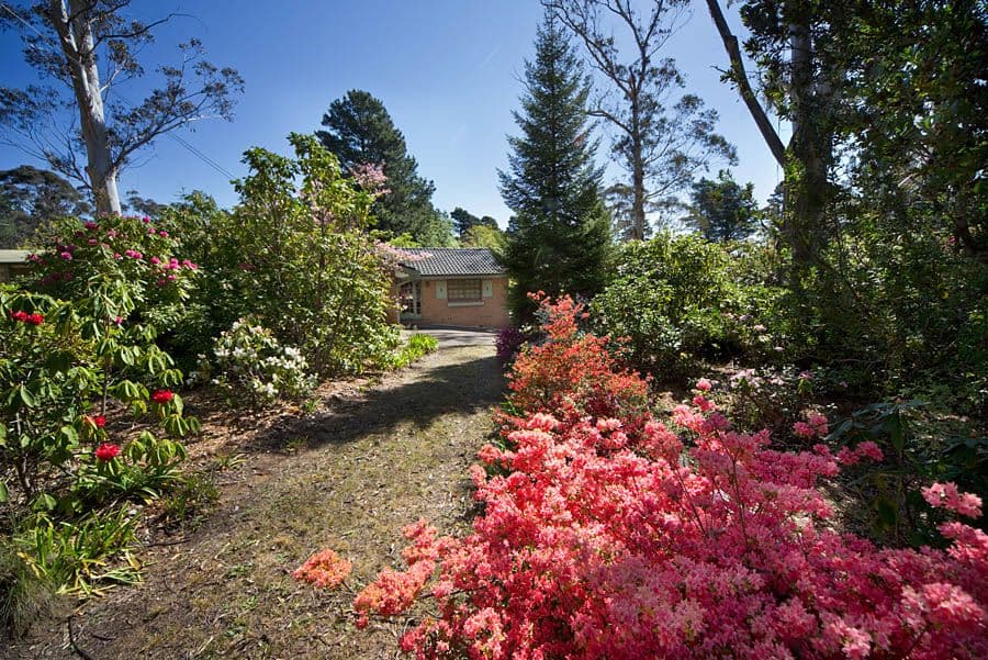 37-39 Portland Road, MEDLOW BATH NSW 2780, Medlow Bath - Thumbnail 7