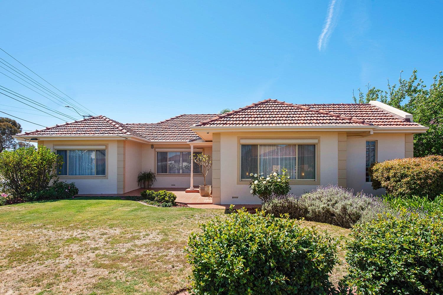 1 Hartog Street, Flinders Park SA 5025, Flinders Park - Image 1