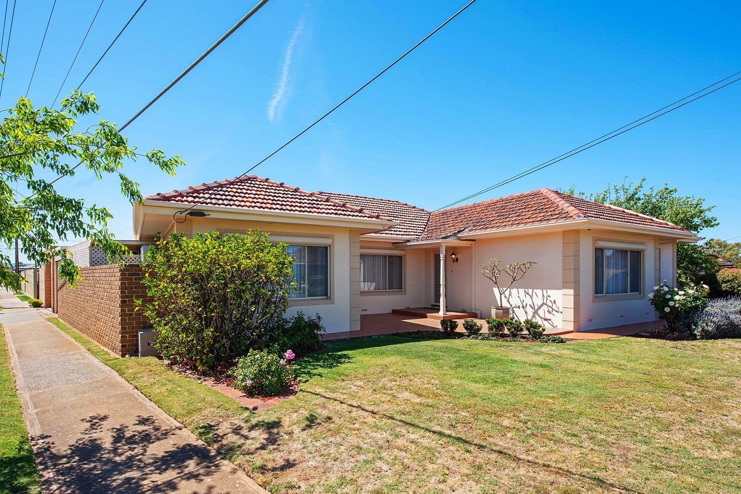 1 Hartog Street, Flinders Park SA 5025, Flinders Park - Thumbnail 2