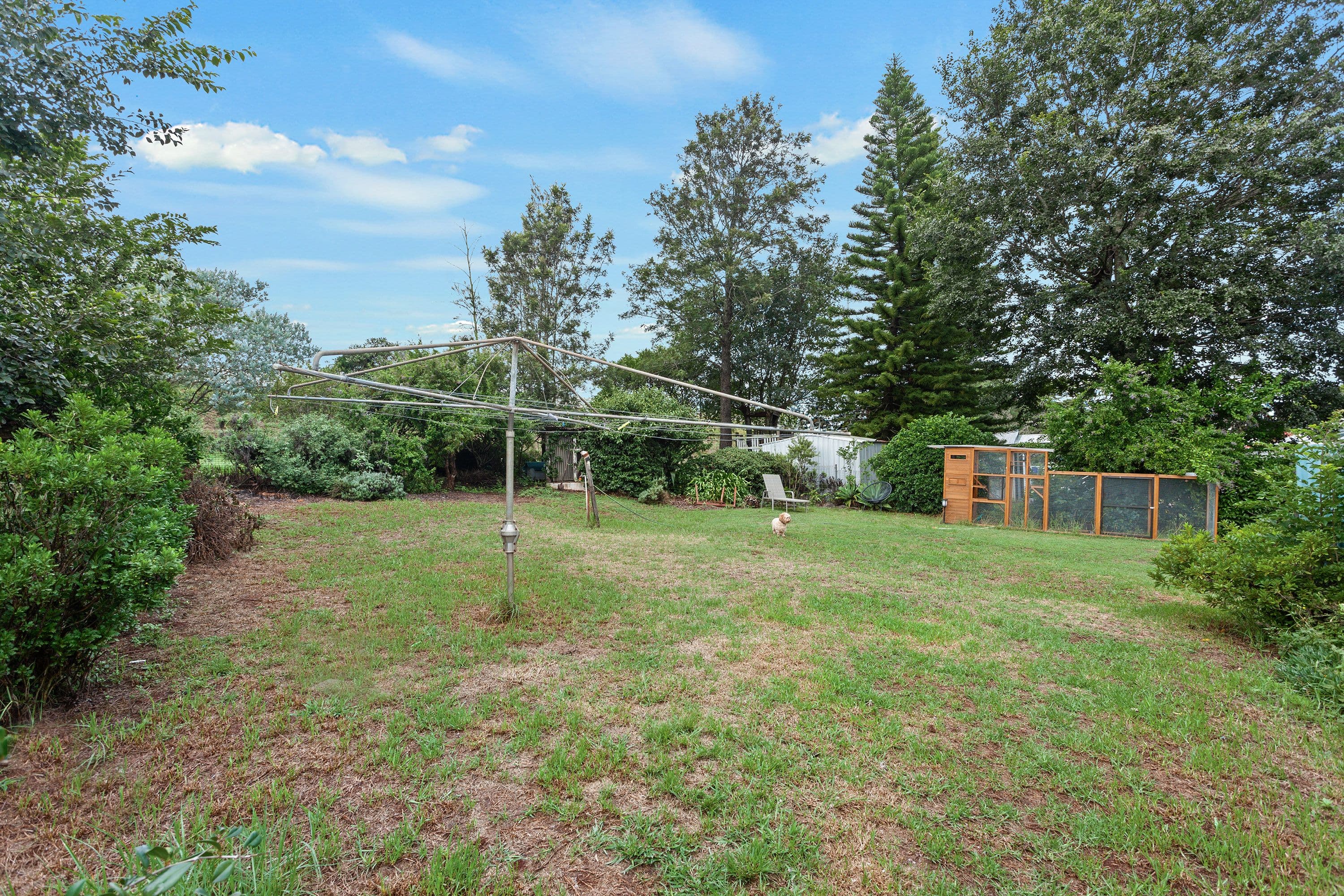 24 Wonga Street, Harlaxton QLD 4350, Harlaxton - Thumbnail 5