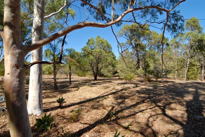 51 Norwood Road, MAIDA VALE WA 6057, Maida Vale - Thumbnail 5