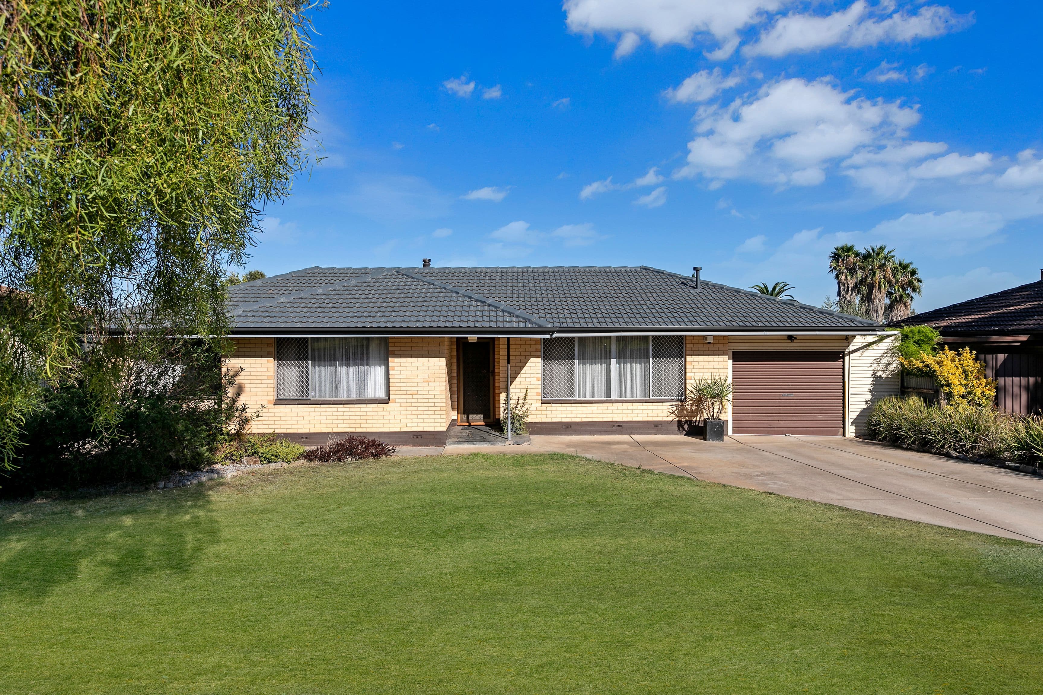 177 Nelson Road, Para Vista SA 5093, Para Vista - Thumbnail 3