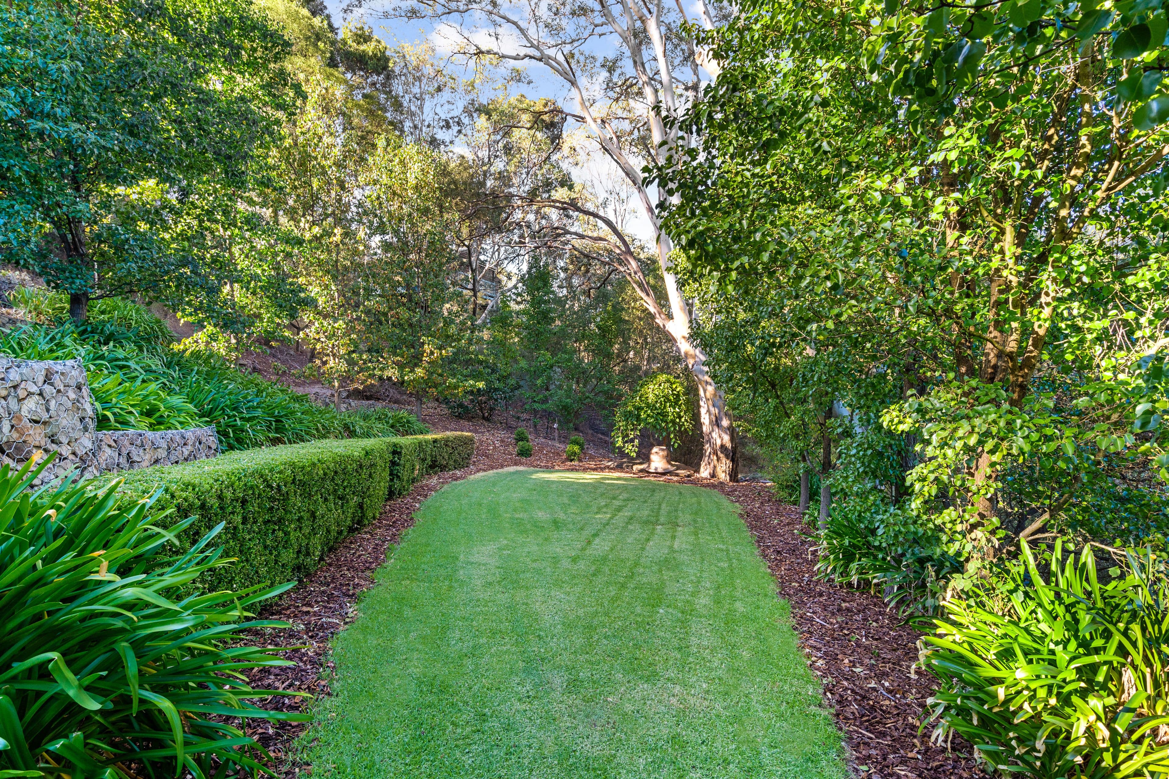 23 Watchman Drive, Coromandel Valley SA 5051, Coromandel Valley - Thumbnail 3
