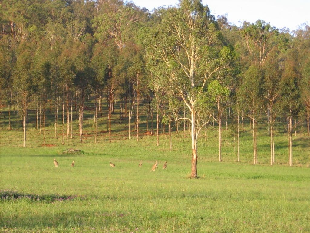 600 Esk Hampton Road, Redbank Creek QLD 4312, Redbank Creek - Thumbnail 2