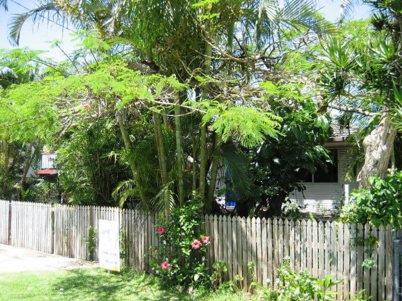 80 Thomas Street, BIRKDALE QLD 4159, Birkdale - Thumbnail 2
