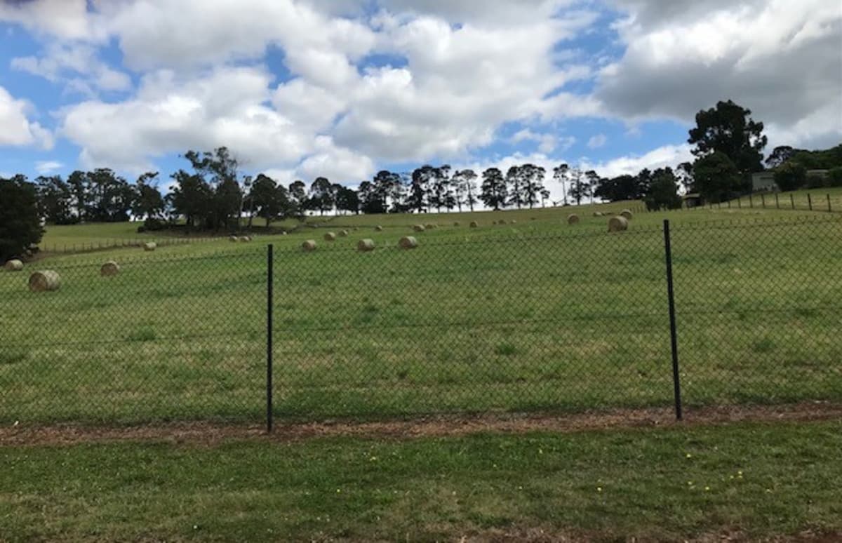 15 Koala Road, Seville VIC 3139, Seville - Image 1