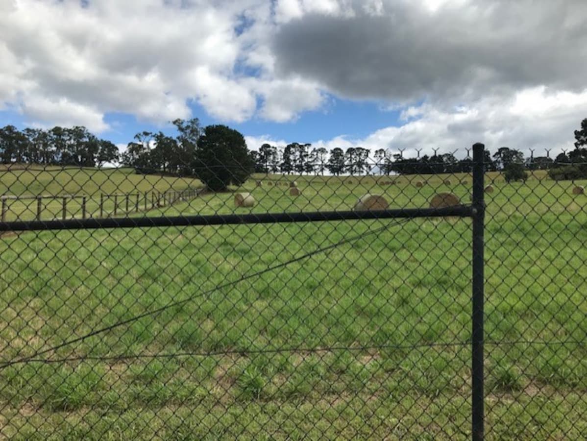 15 Koala Road, Seville VIC 3139, Seville - Thumbnail 3