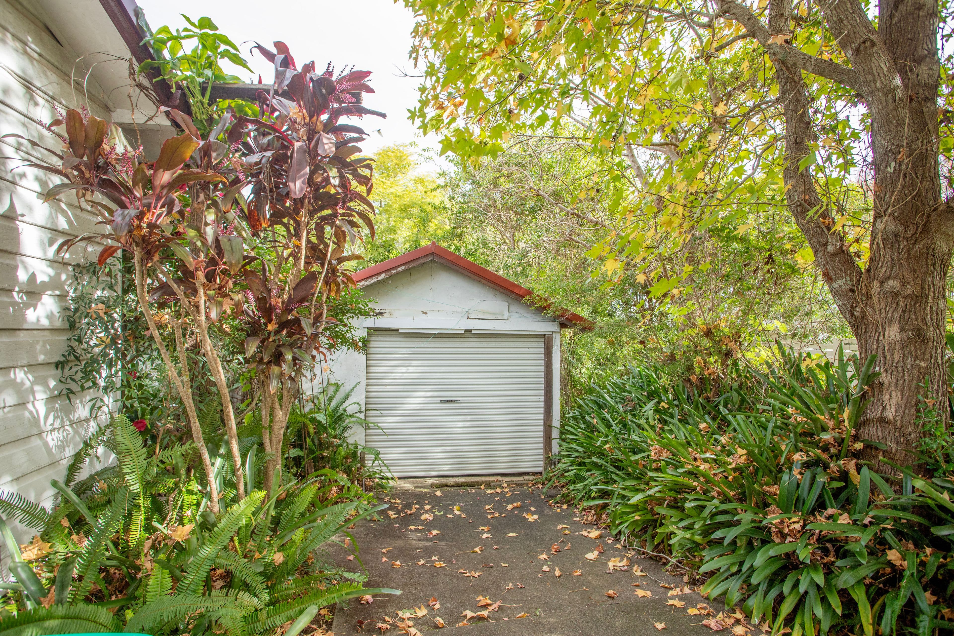 36 River Street, Cundletown NSW 2430, Cundletown - Thumbnail 8