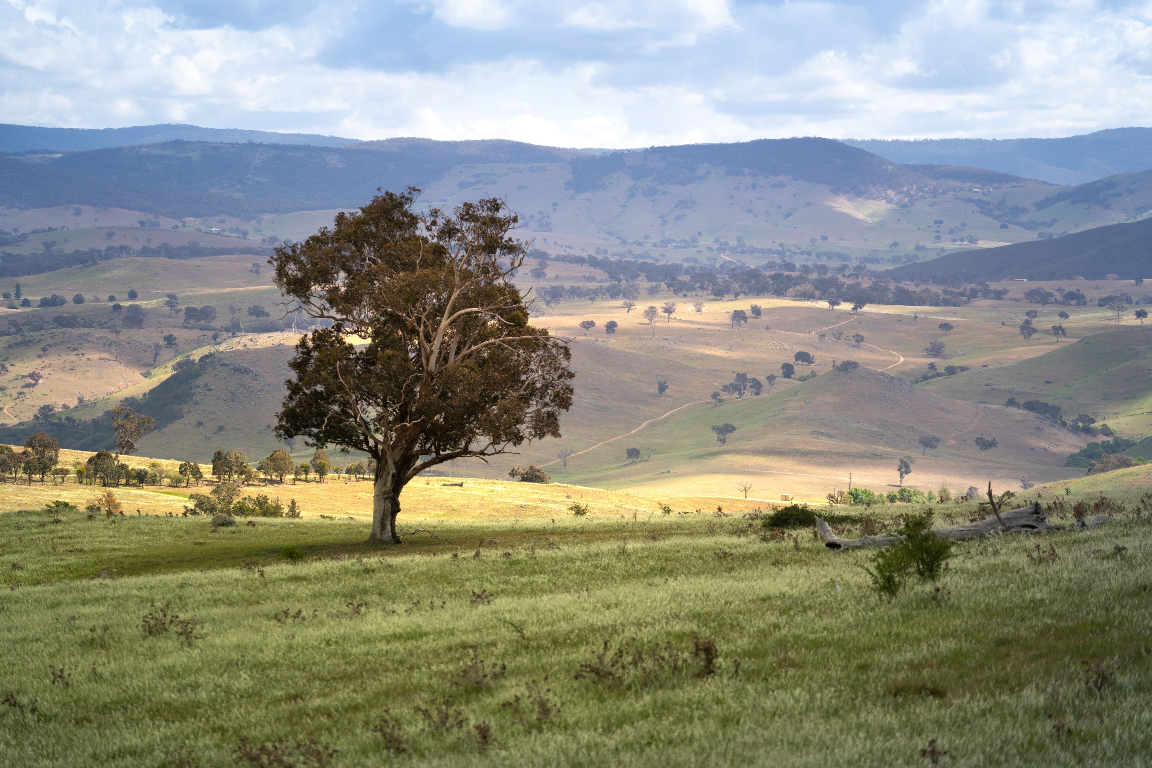 141 Rochford Road, Wallaroo - Thumbnail 3