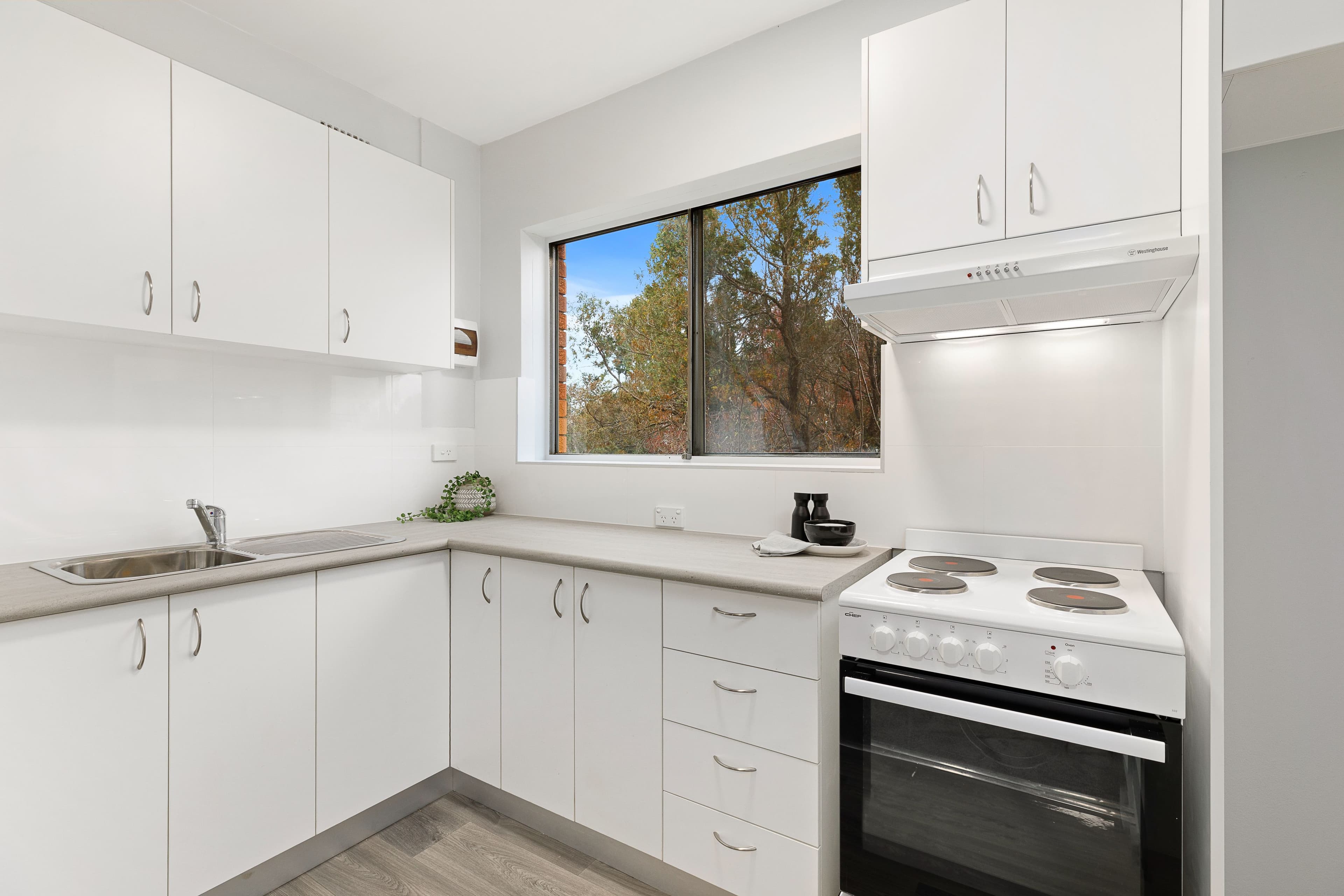 3 Isabel Street, Ryde NSW 2112, Ryde - Thumbnail 5