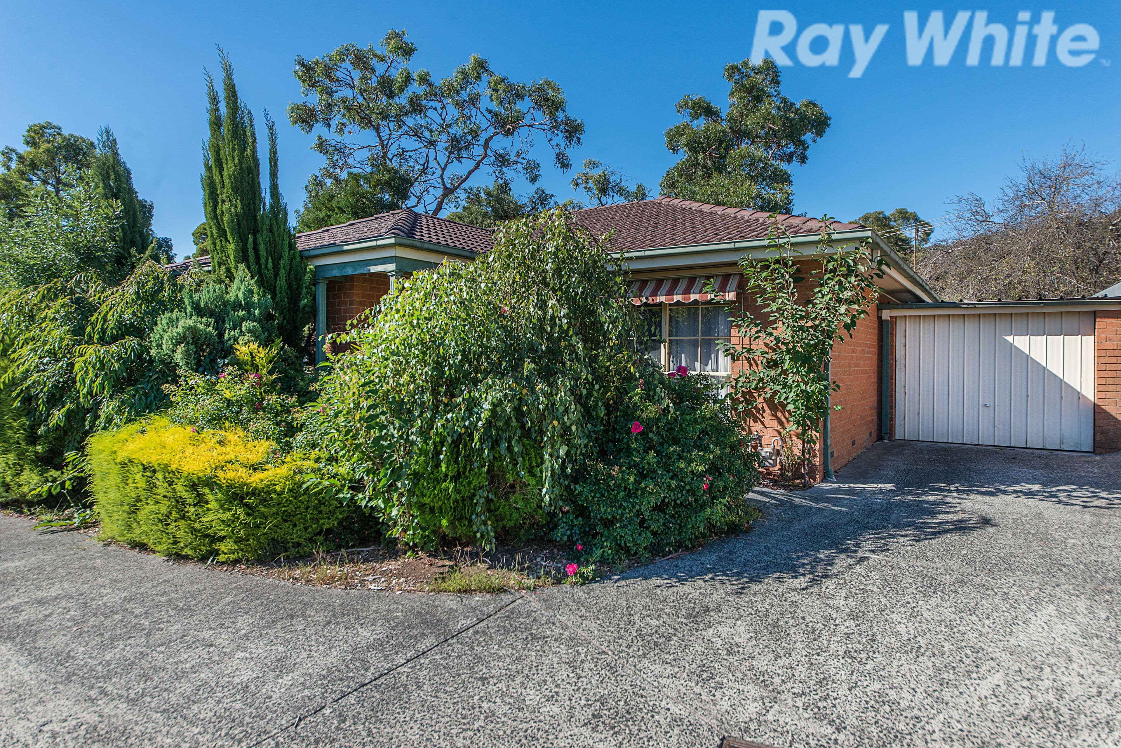 29 Hutton Avenue, Ferntree Gully VIC 3156, Ferntree Gully - Thumbnail 2