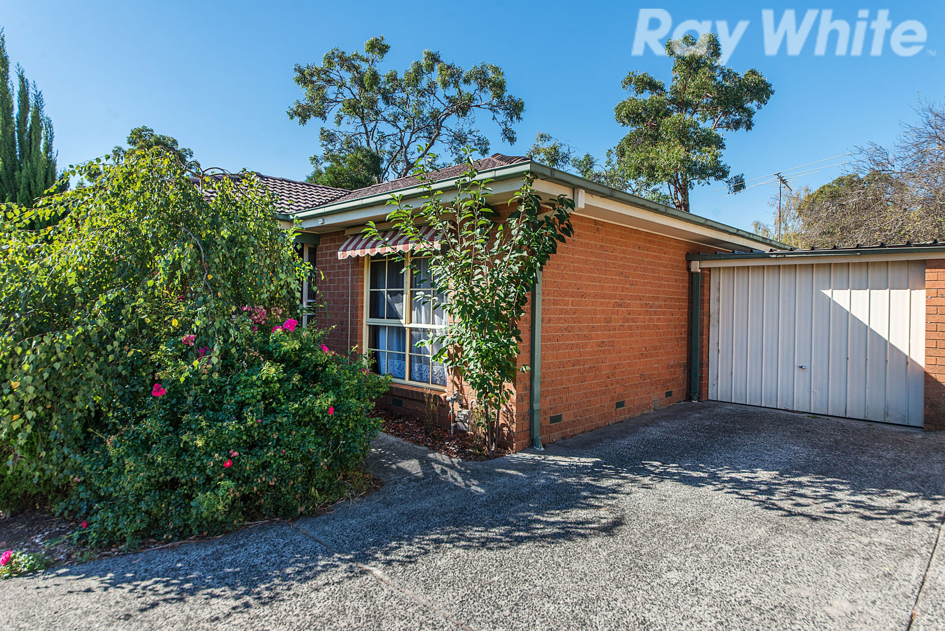 29 Hutton Avenue, Ferntree Gully VIC 3156, Ferntree Gully - Thumbnail 3