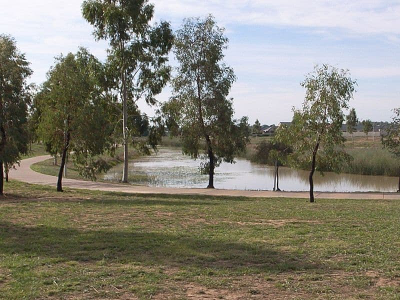 4 Dartmouth Court, KIALLA VIC 3631, Kialla - Thumbnail 8