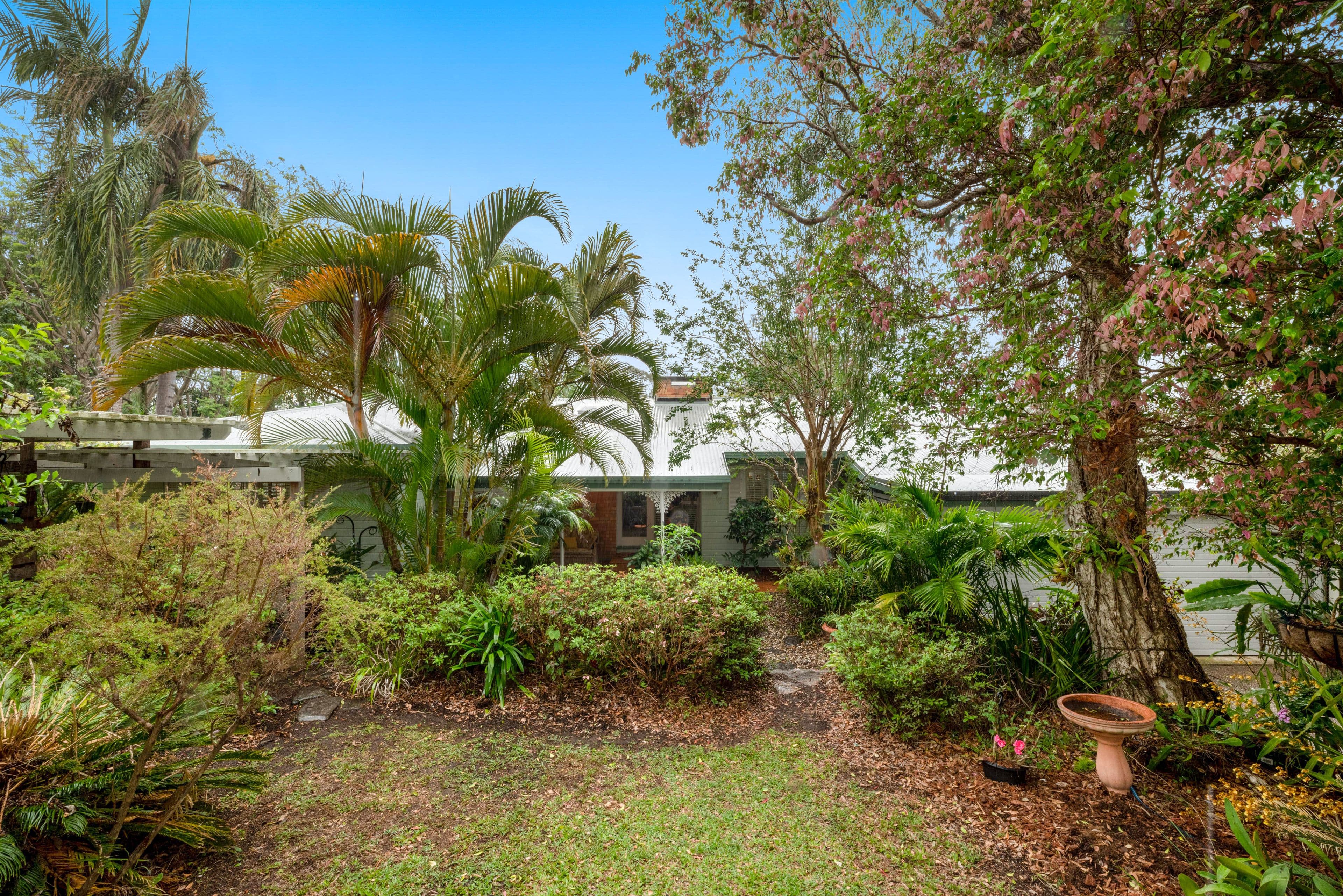 11 Alton Terrace, The Gap QLD 4061, The Gap - Thumbnail 2