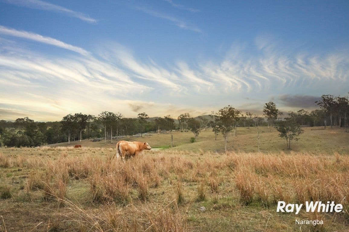 16 Grace Mac Court, Narangba QLD 4504, Narangba - Thumbnail 3