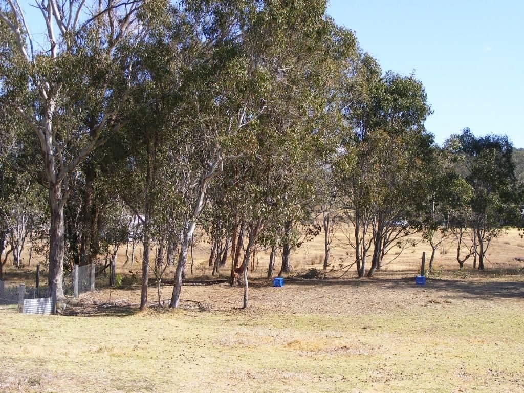 59 Emu Creek Road, CROWS NEST QLD 4355, Crows Nest - Thumbnail 3