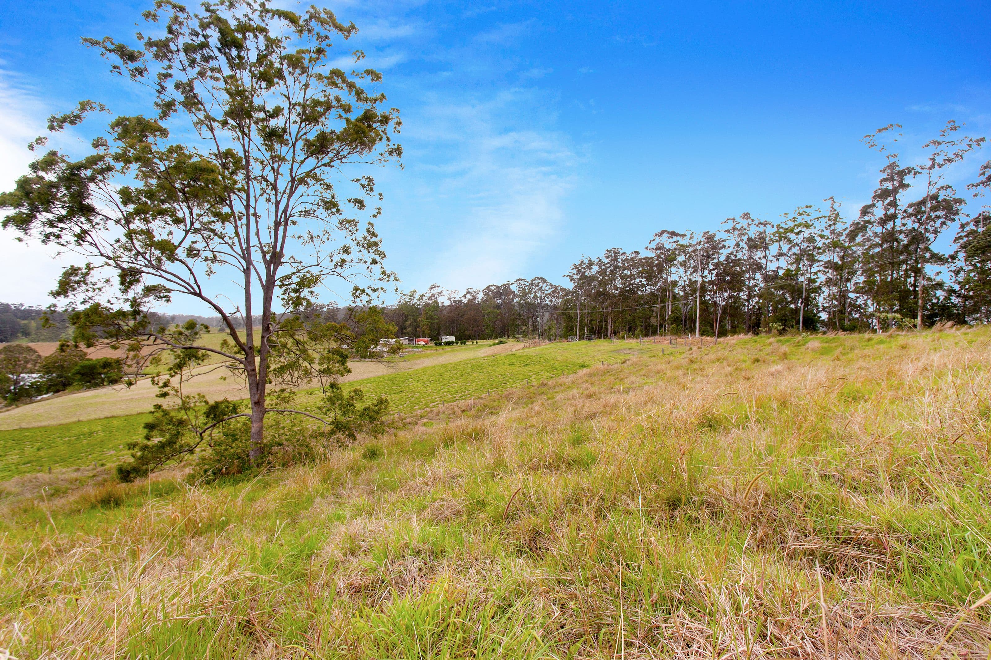 Lot 1 Goulds Road, Utungun NSW 2447, Utungun - Thumbnail 3