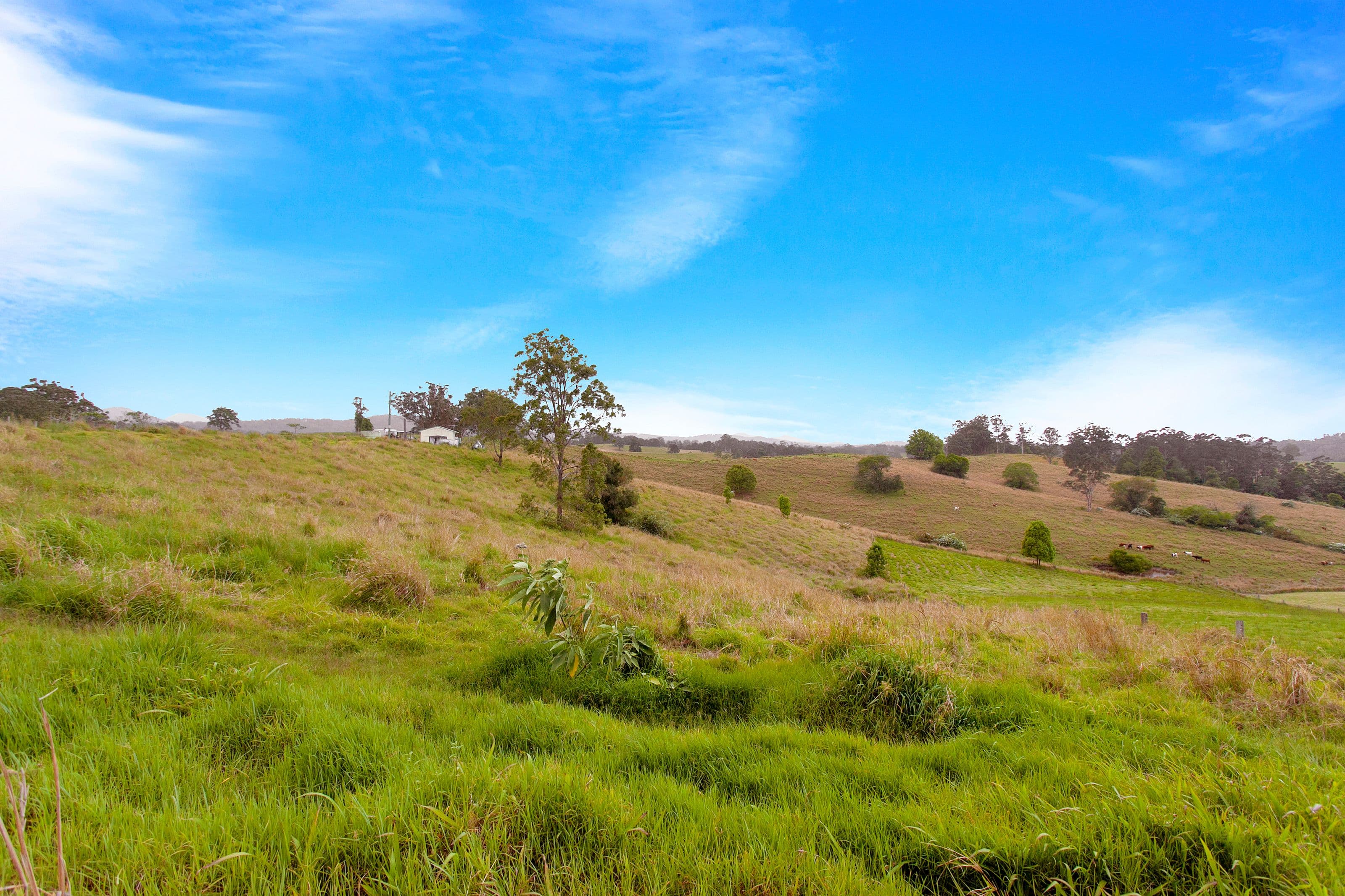 Lot 1 Goulds Road, Utungun NSW 2447, Utungun - Thumbnail 5