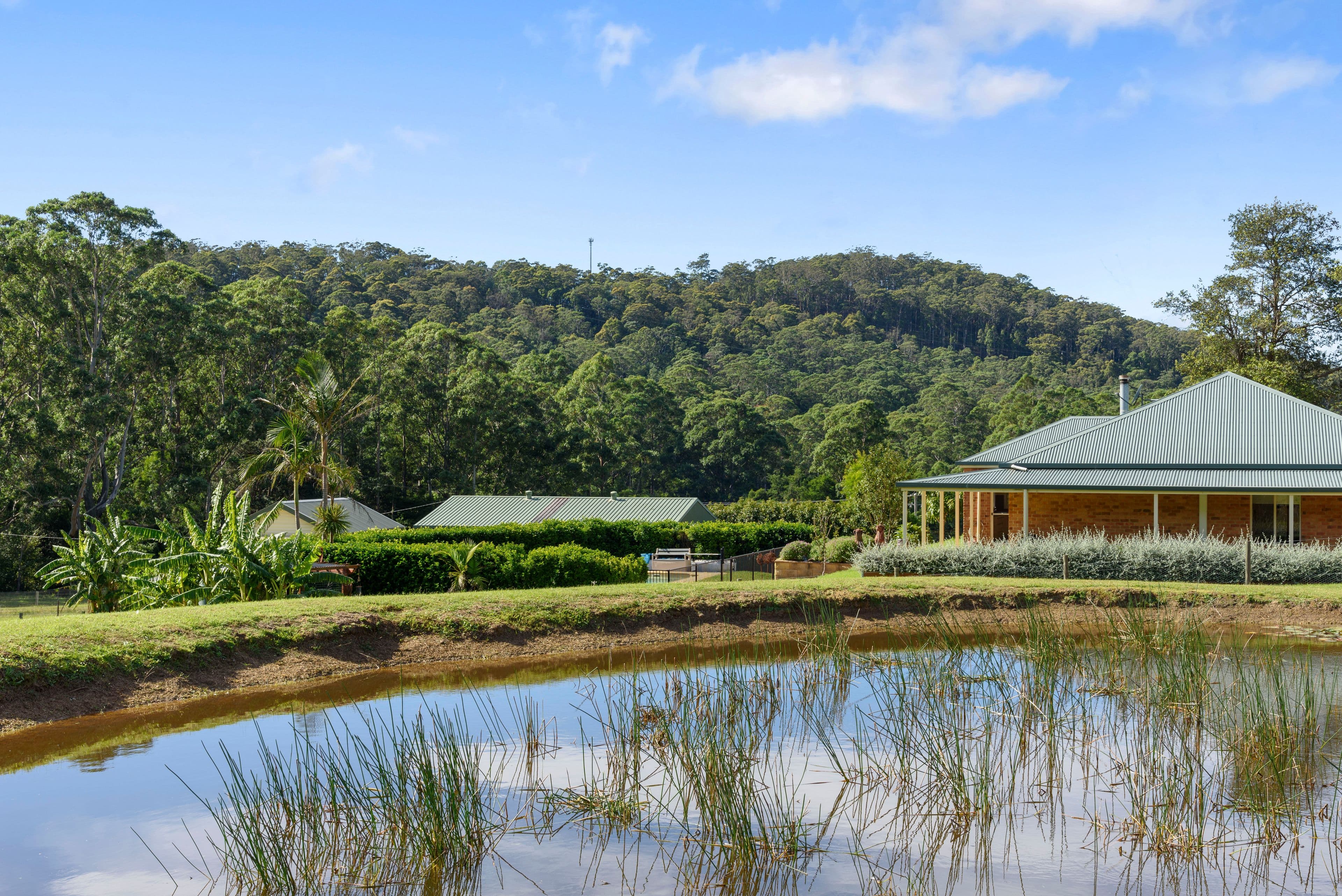 34 Shoebridge Lane, Termeil NSW 2539, Termeil - Thumbnail 2