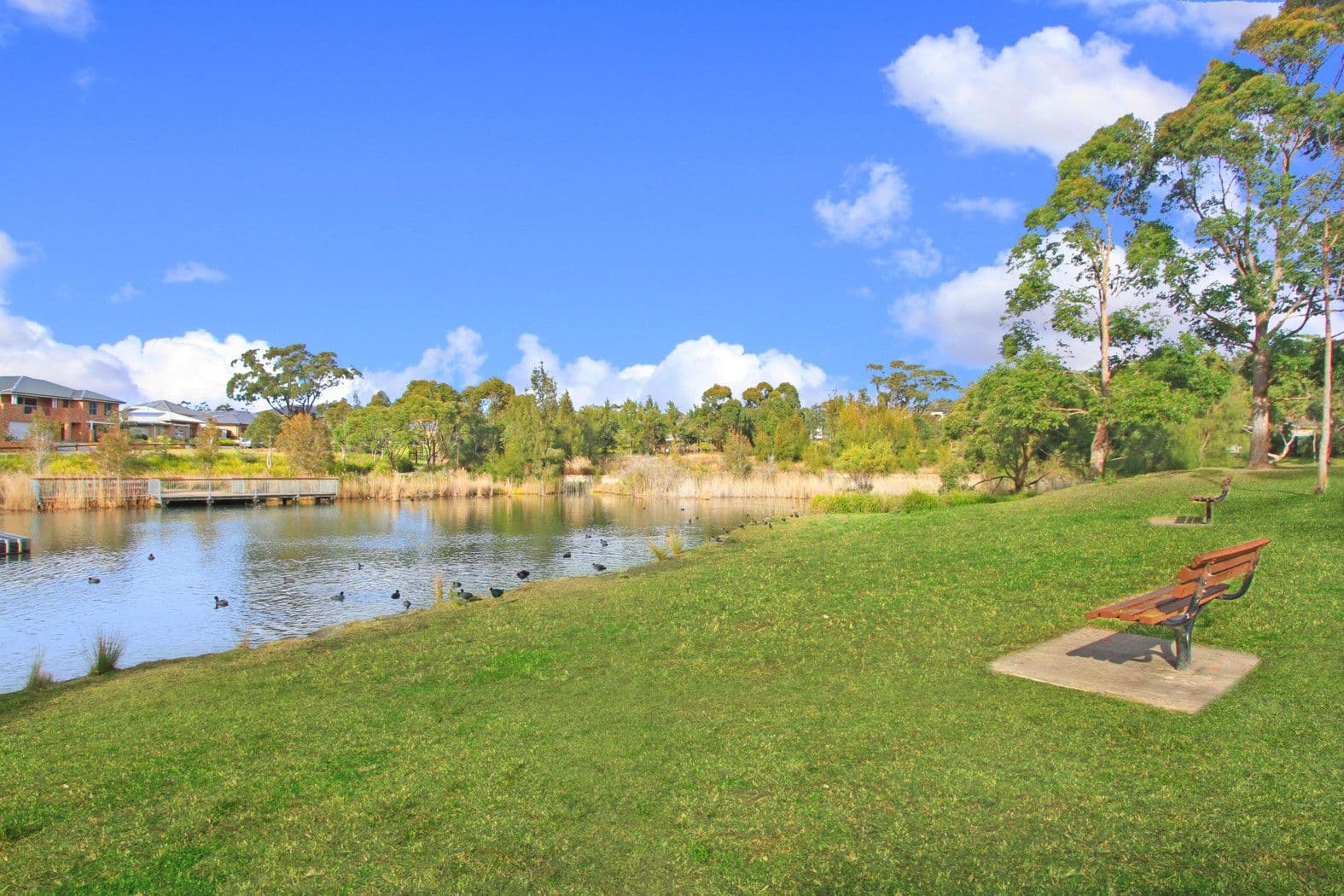 31A Chippendale Place, HELENSBURGH NSW 2508, Helensburgh - Thumbnail 7