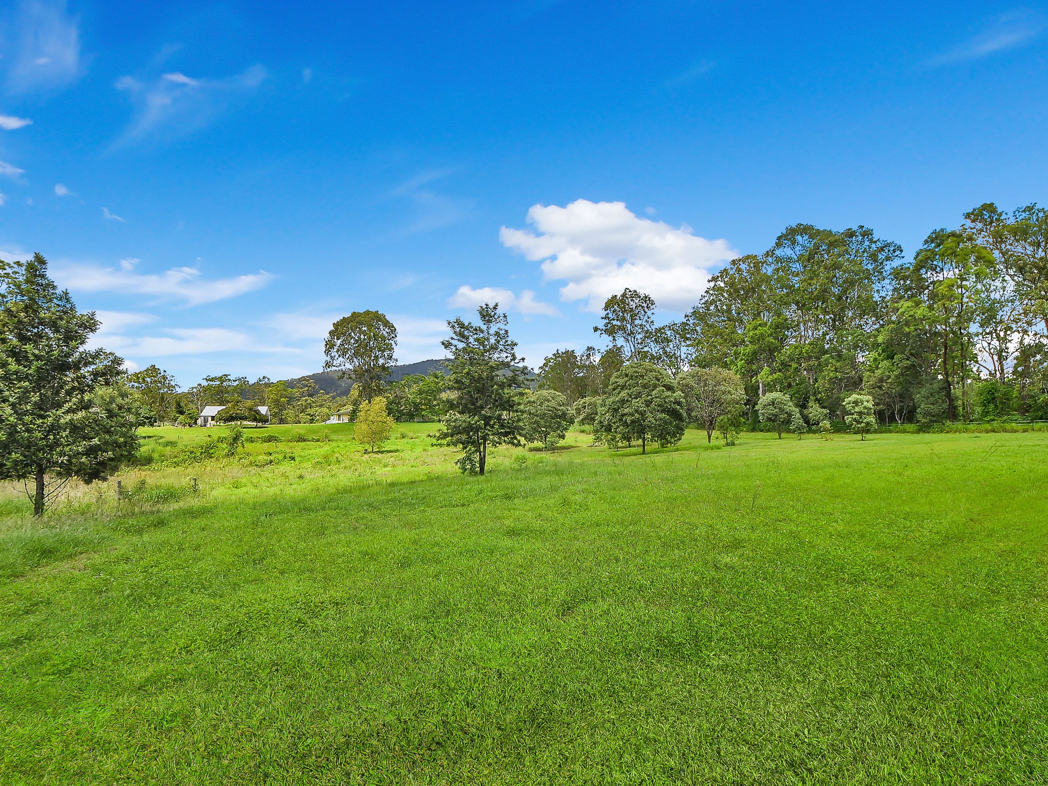 104 McCombe Road, Camp Mountain QLD 4520, Camp Mountain - Thumbnail 6