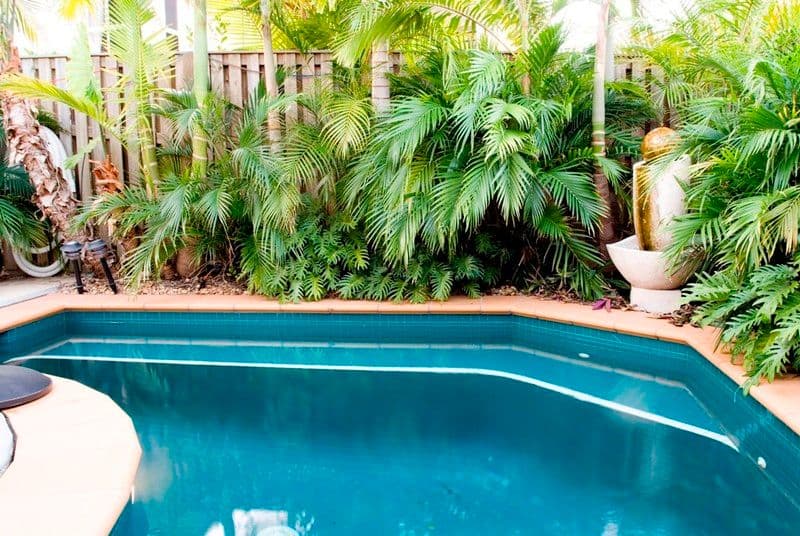 17 Magenta Drive, VARSITY LAKES QLD 4227, Varsity Lakes - Thumbnail 7
