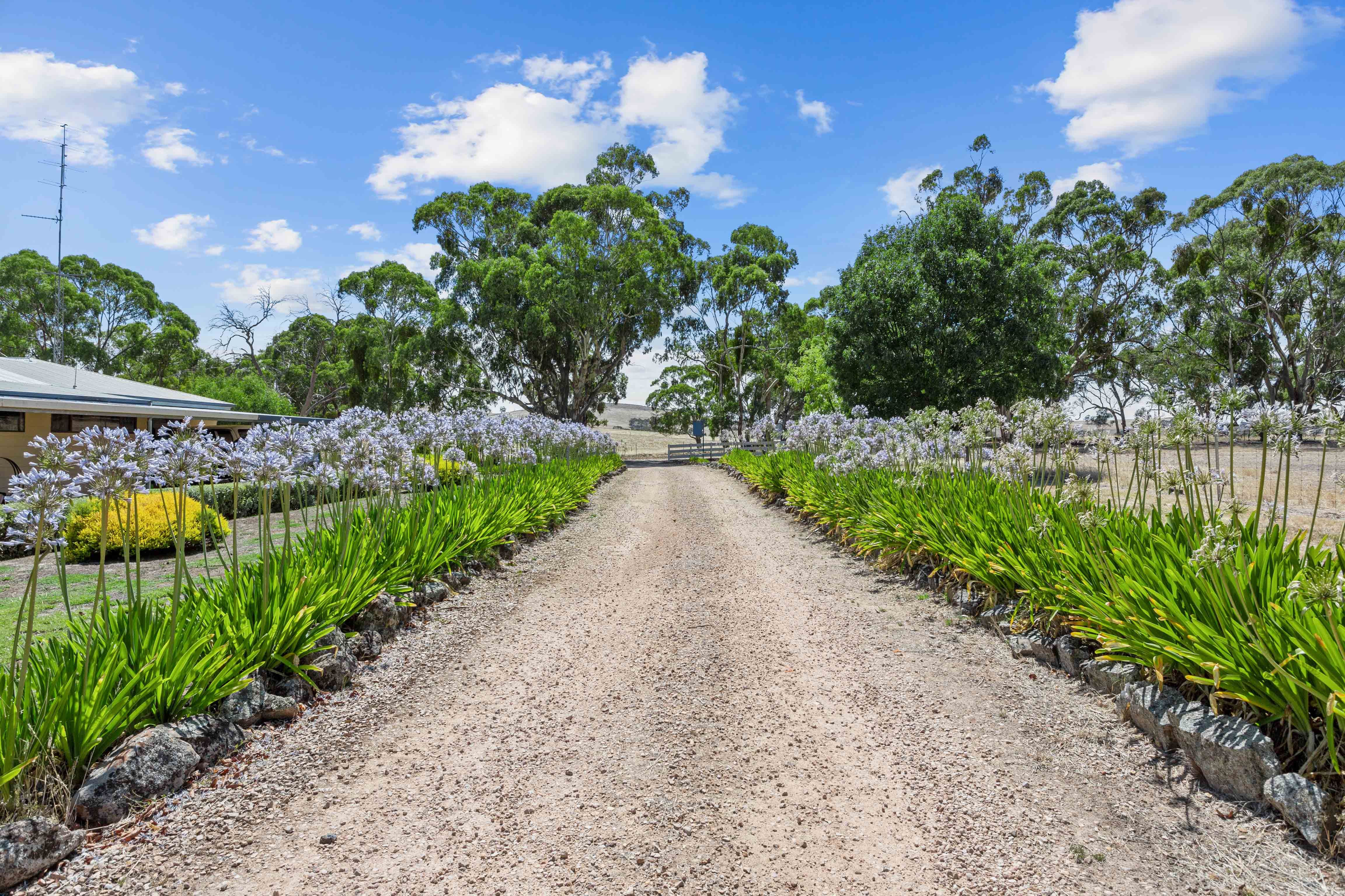 86 Hubbe Road, Clare SA 5453, Clare - Thumbnail 2