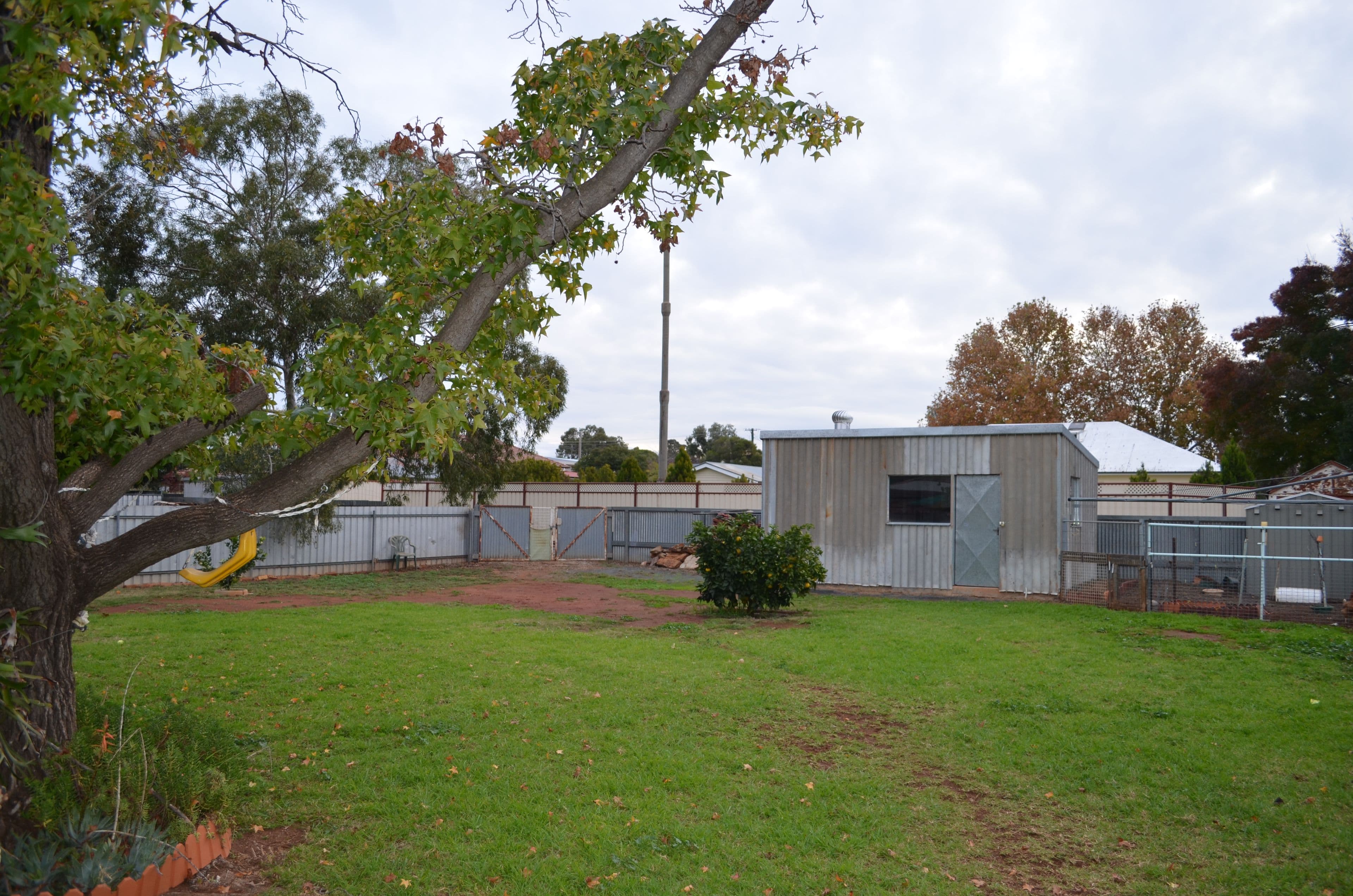14 Whiley Street, Condobolin - Thumbnail 4