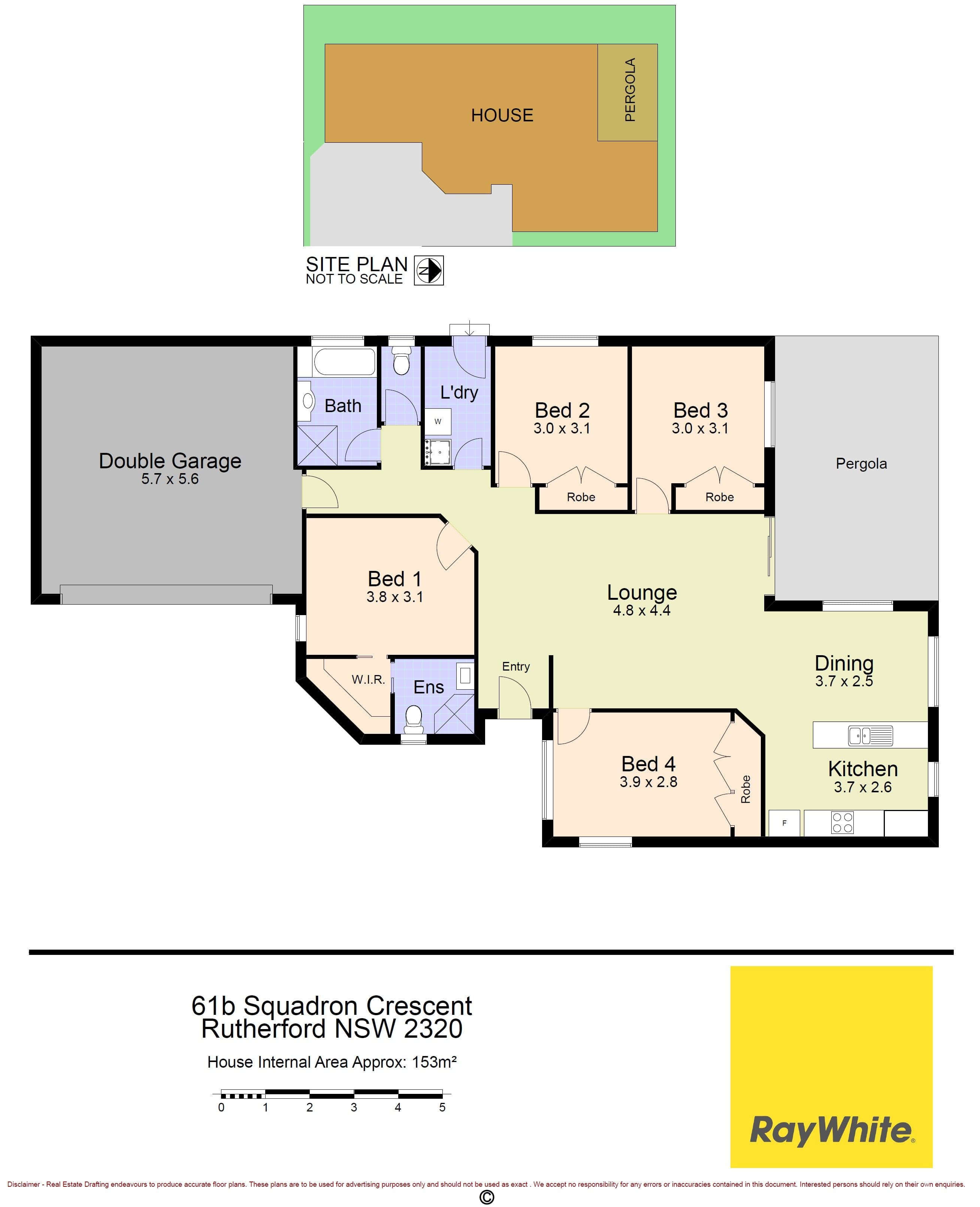 61 Squadron Crescent, Rutherford - Thumbnail 7