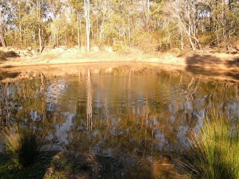 329 Dyer Road, BLACKBUTT QLD 4314, Blackbutt - Image 1