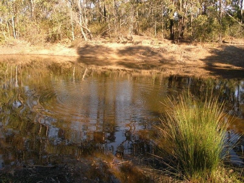 329 Dyer Road, BLACKBUTT QLD 4314, Blackbutt - Thumbnail 3
