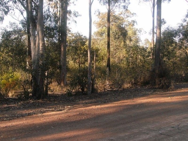 329 Dyer Road, BLACKBUTT QLD 4314, Blackbutt - Thumbnail 5